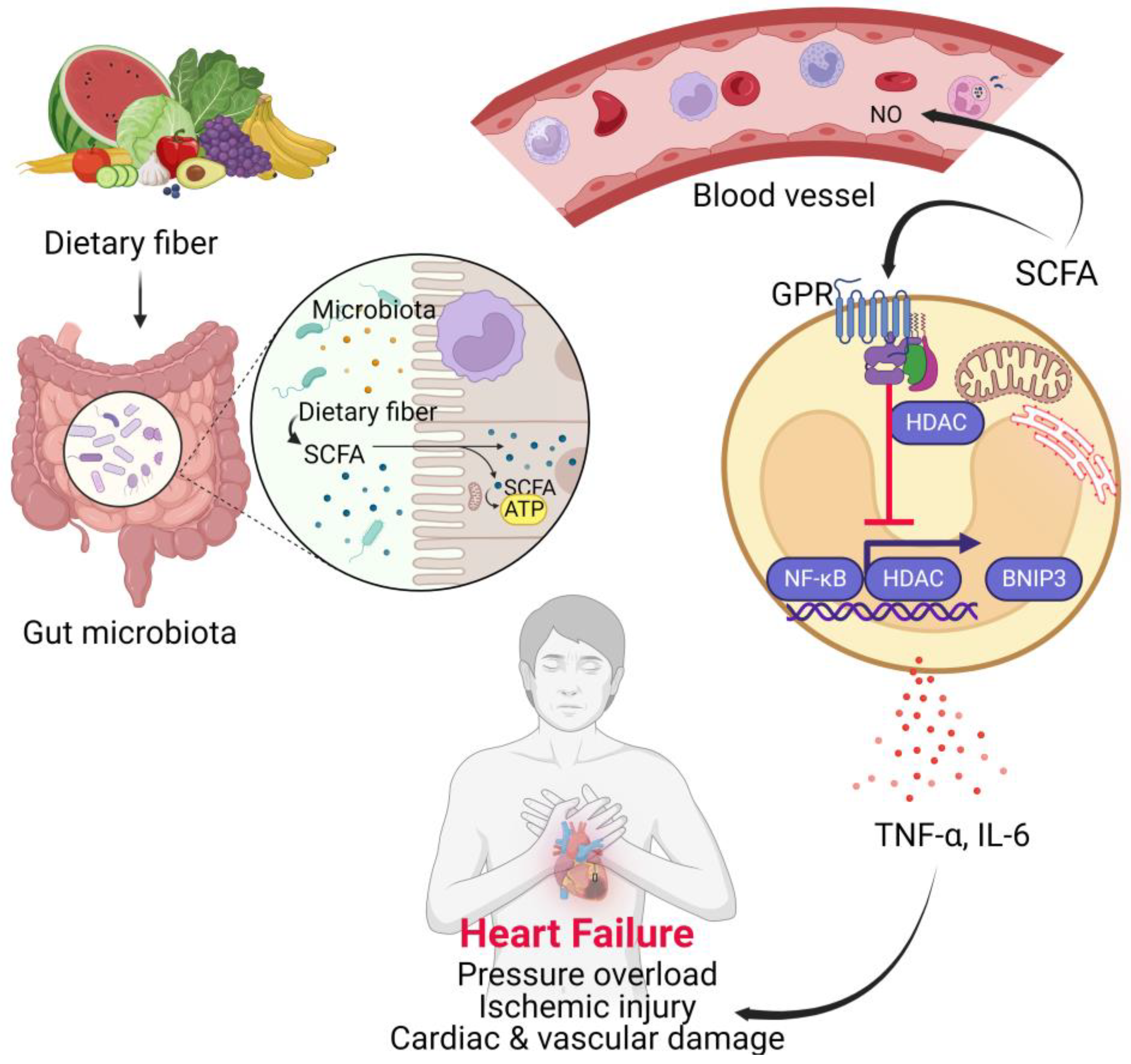 Biomedicines 11 02313 g001