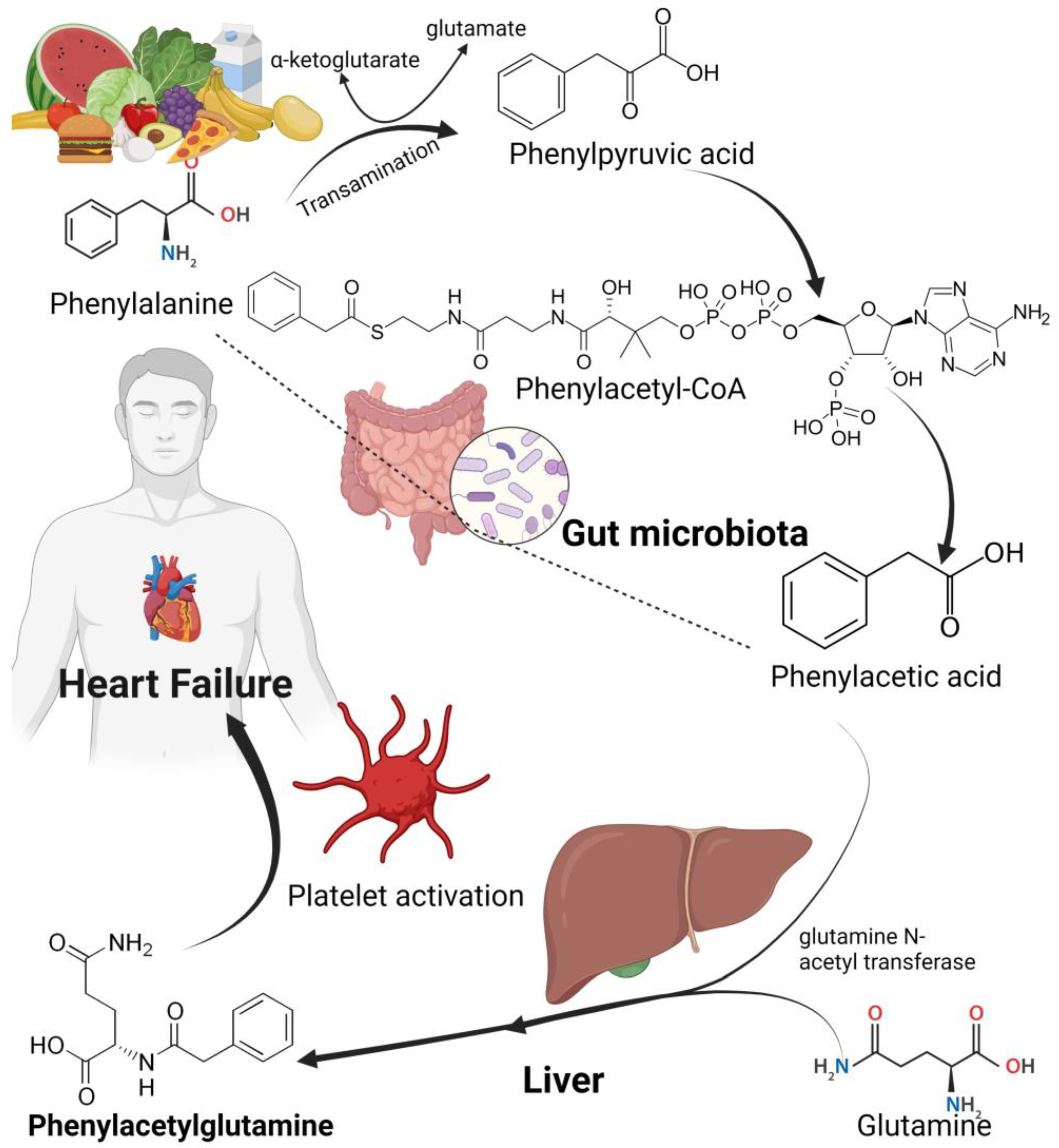 Biomedicines 11 02313 g003