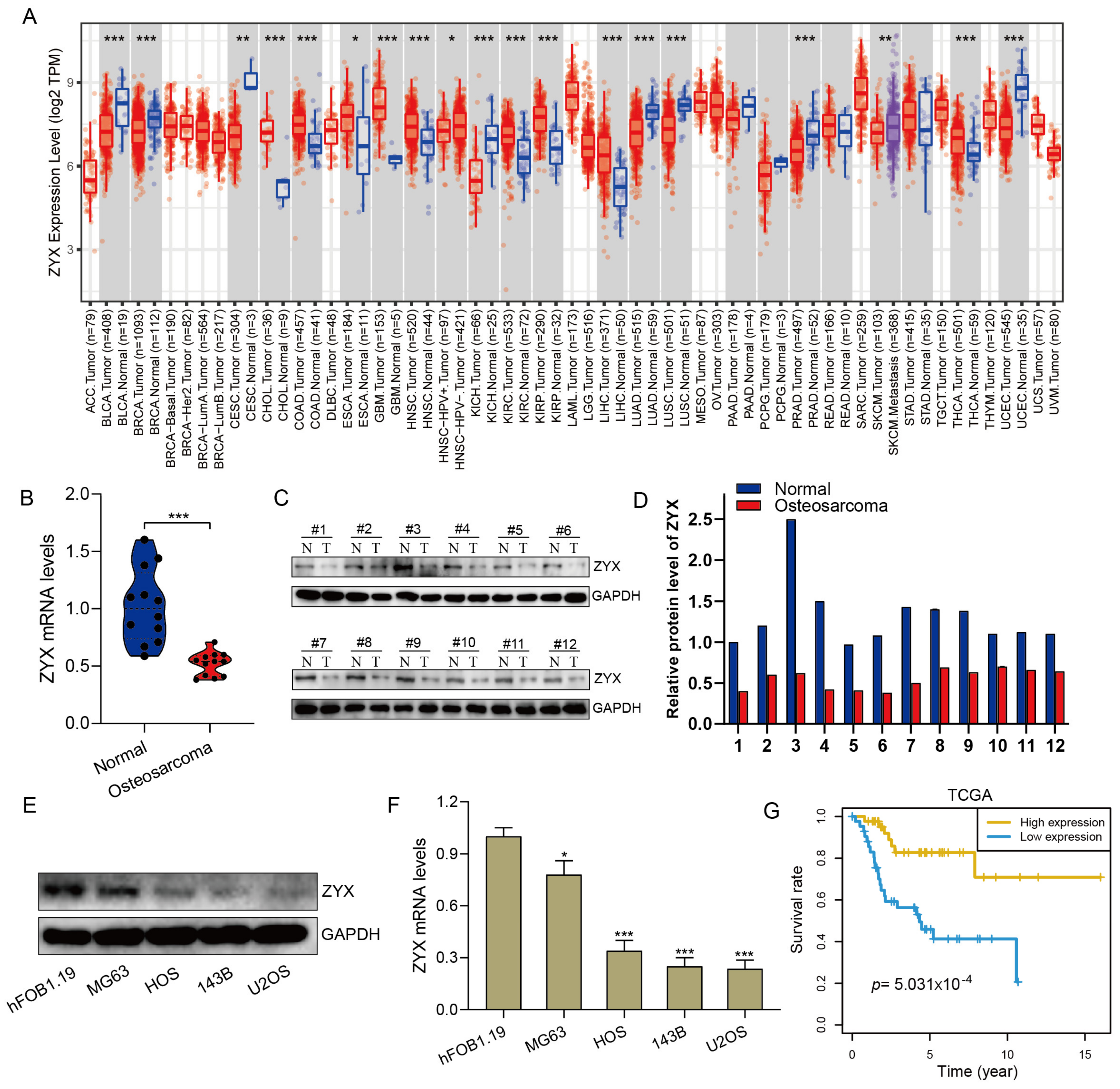 Biomedicines 11 02314 g001