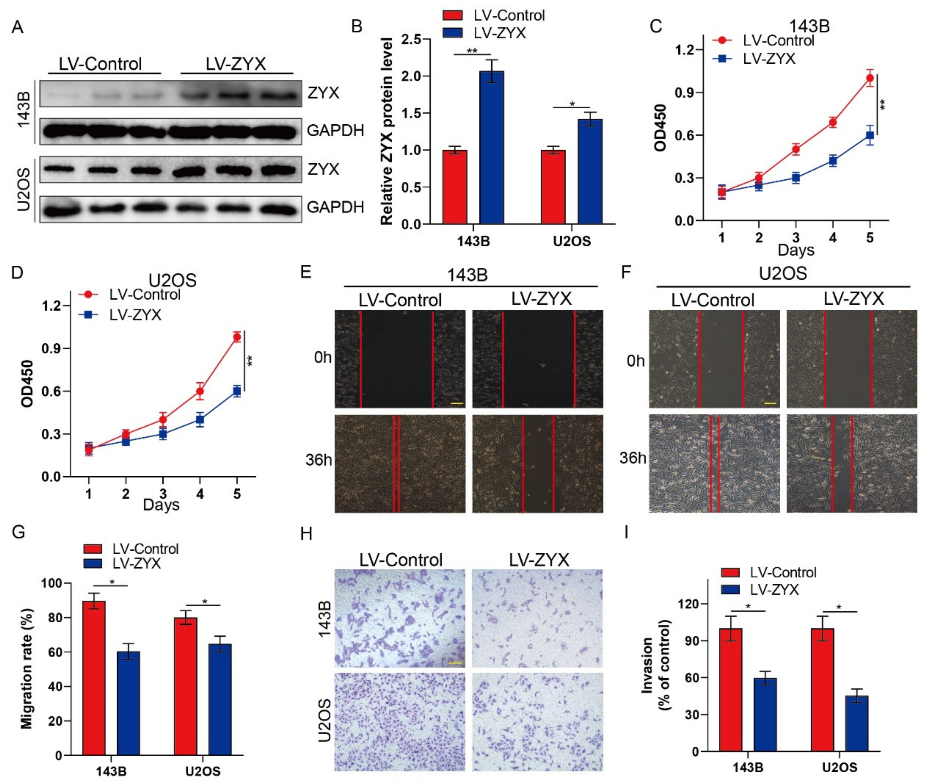 Biomedicines 11 02314 g002