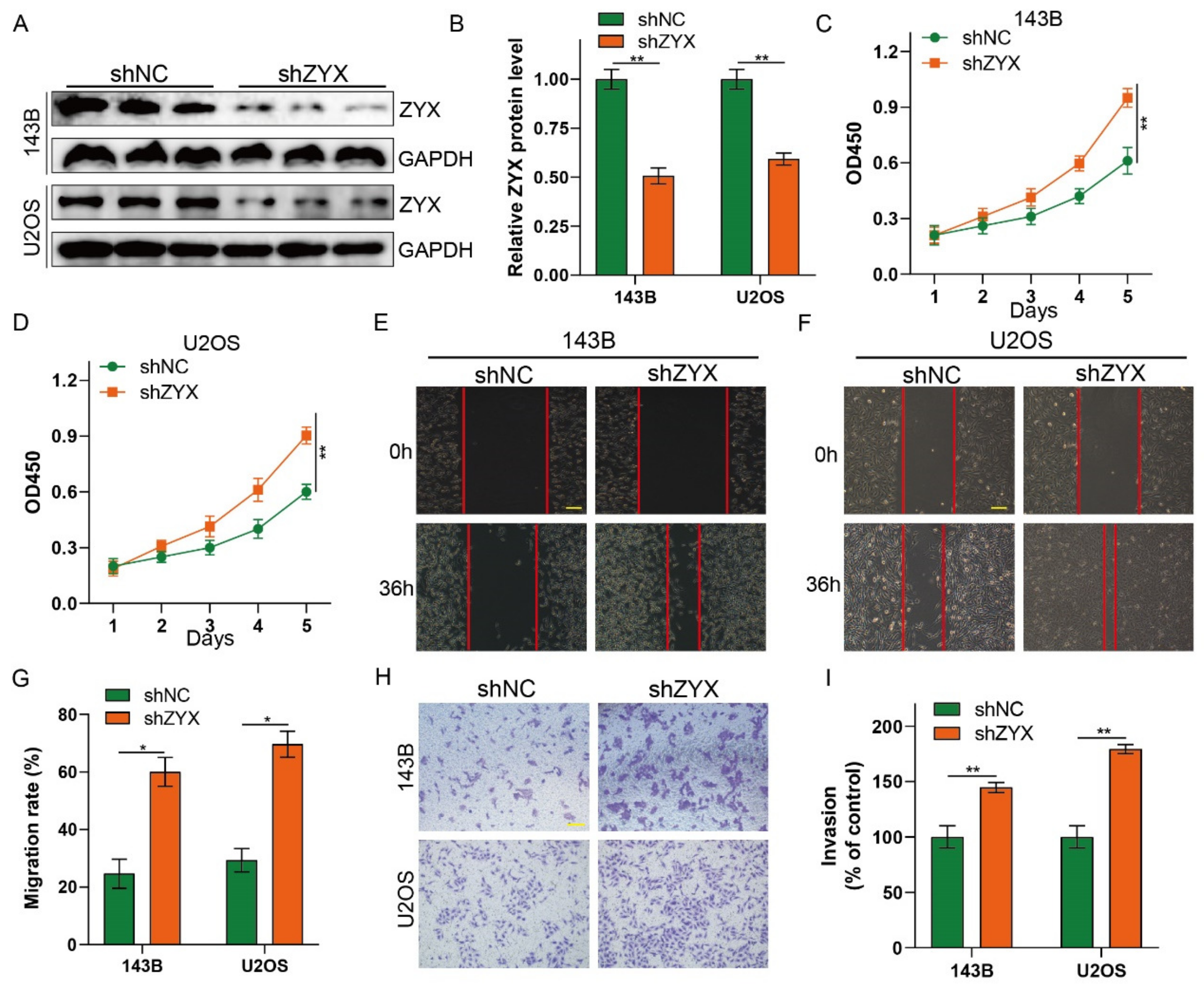 Biomedicines 11 02314 g003