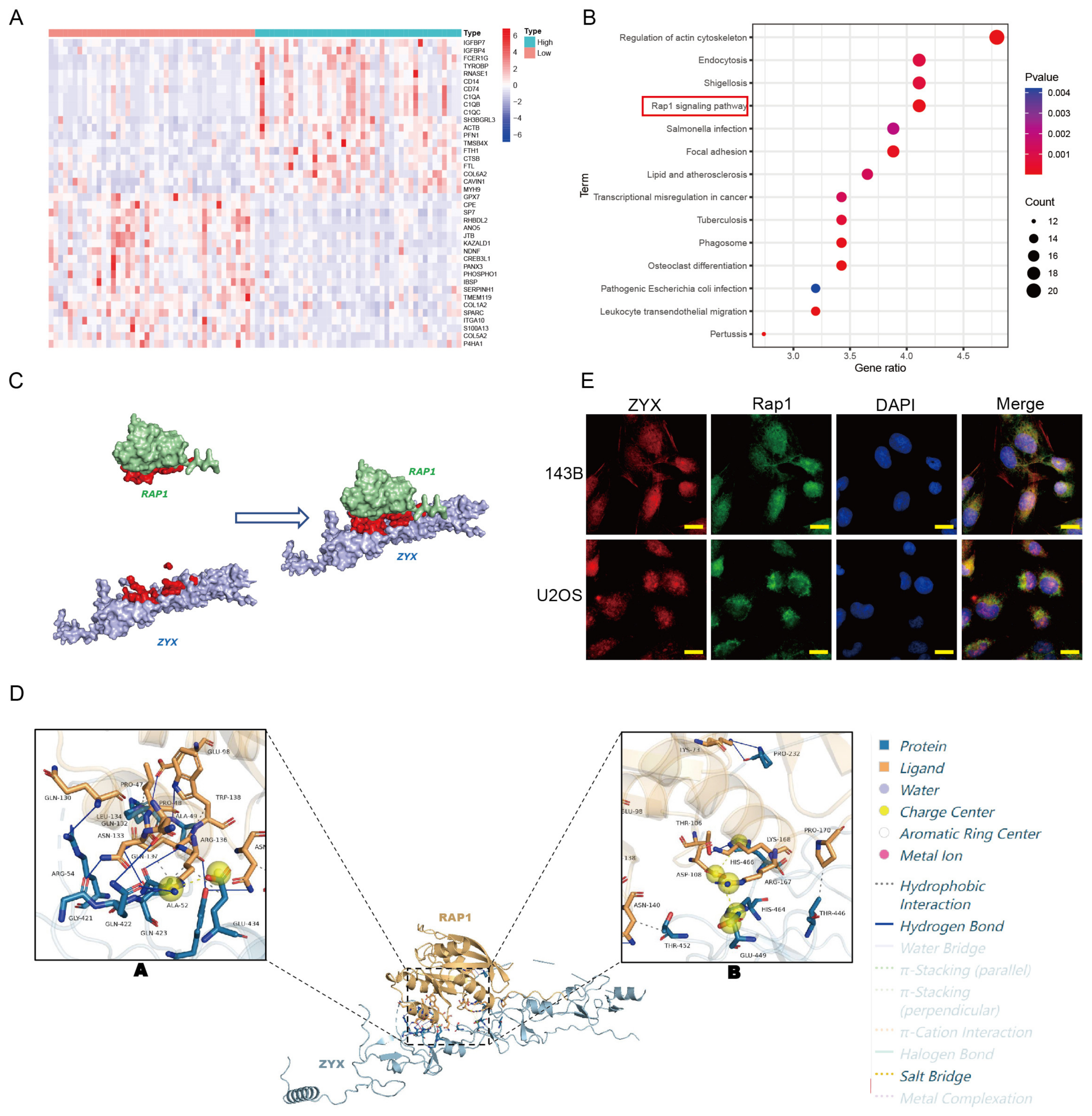 Biomedicines 11 02314 g004