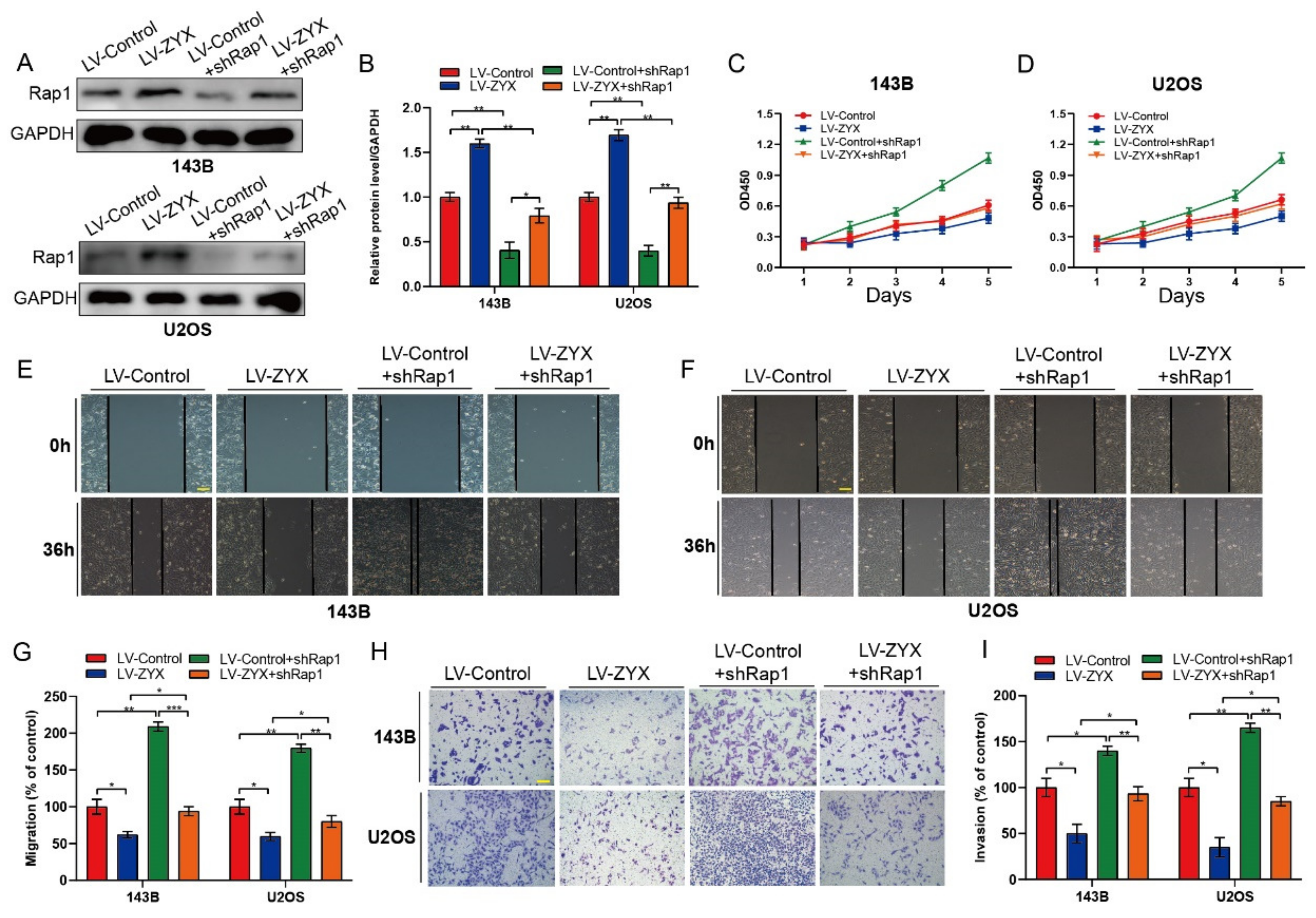 Biomedicines 11 02314 g006