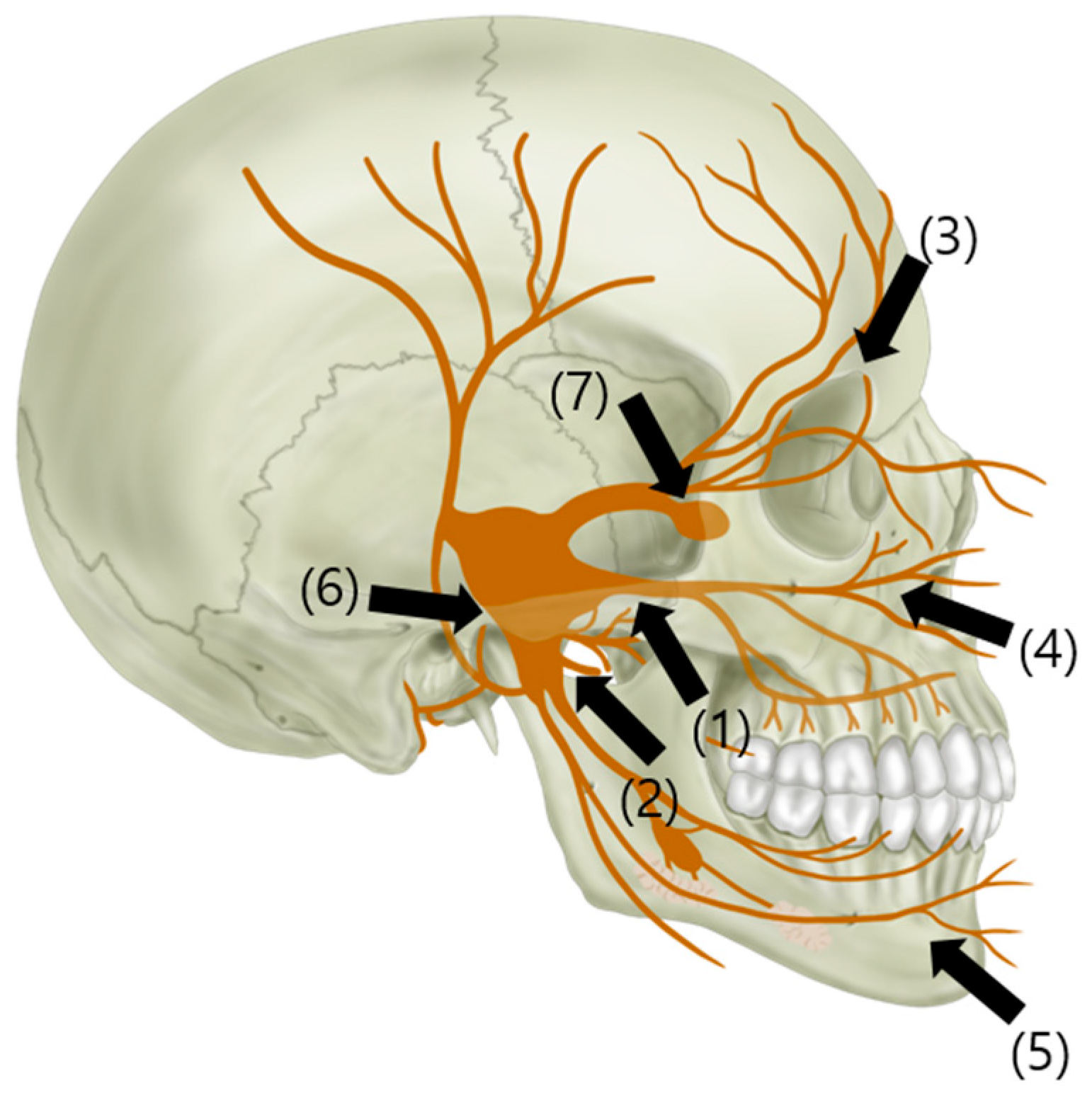 Biomedicines 11 02315 g004