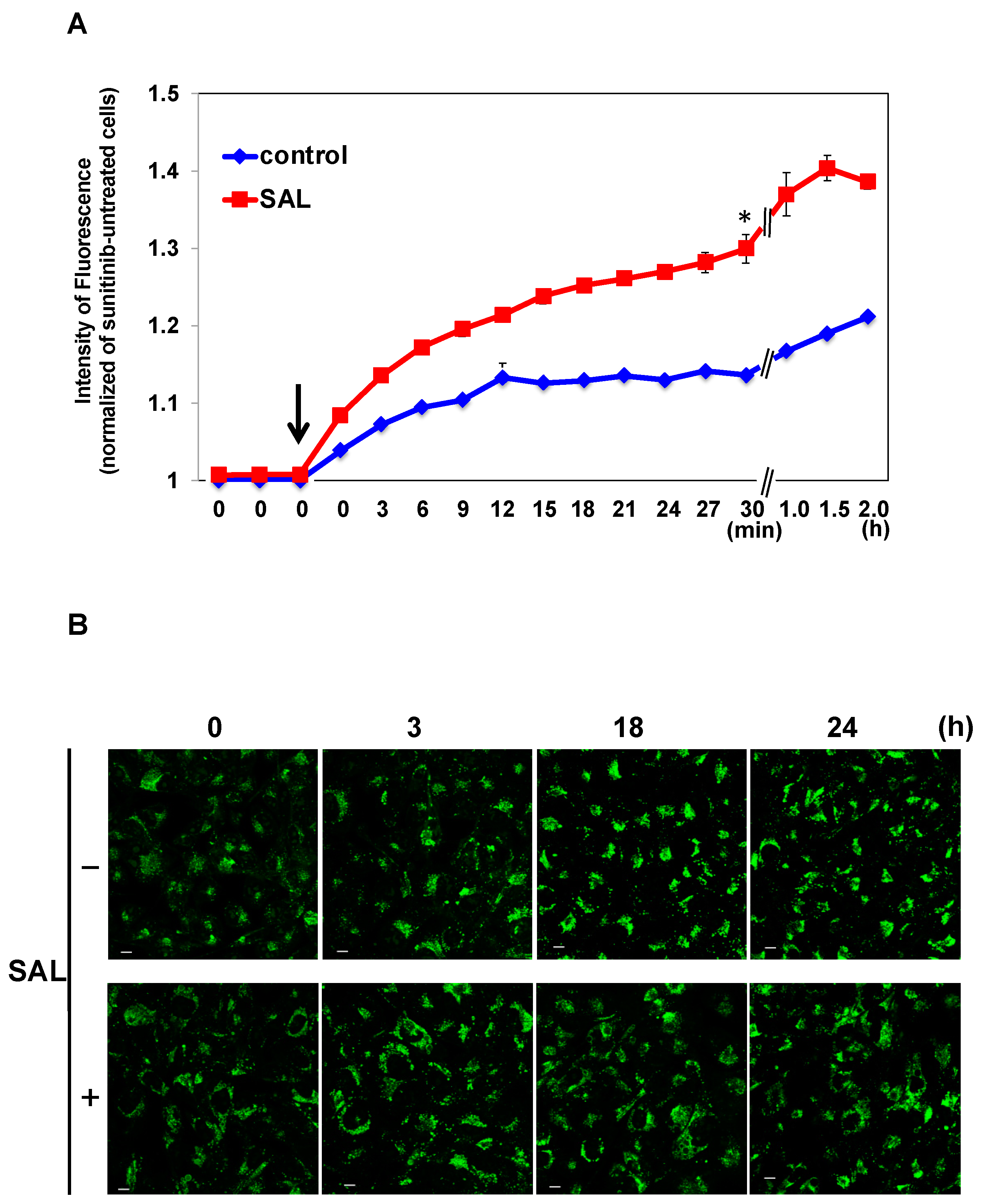 Biomedicines 11 02317 g004