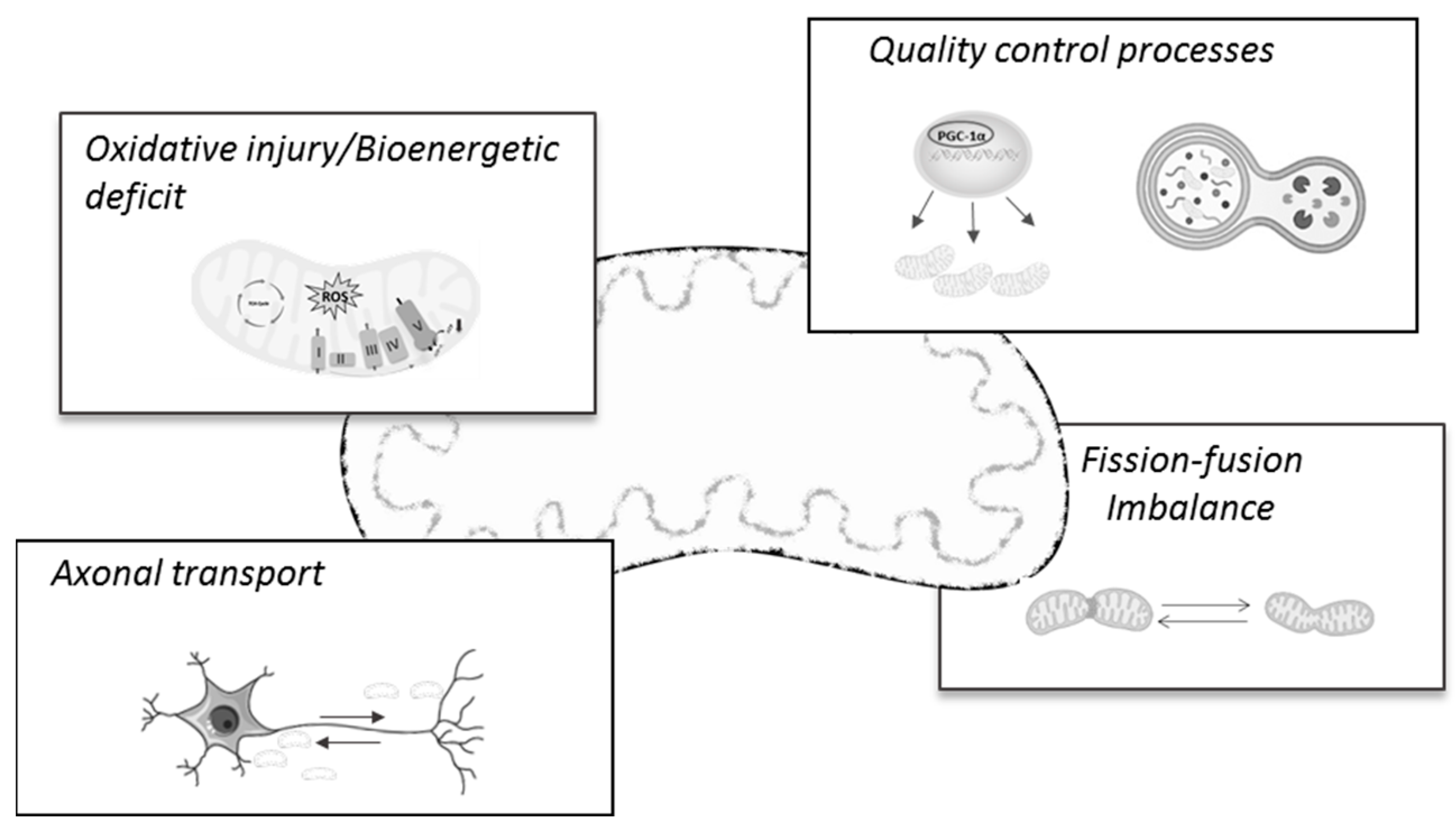 Biomedicines 11 02331 g001
