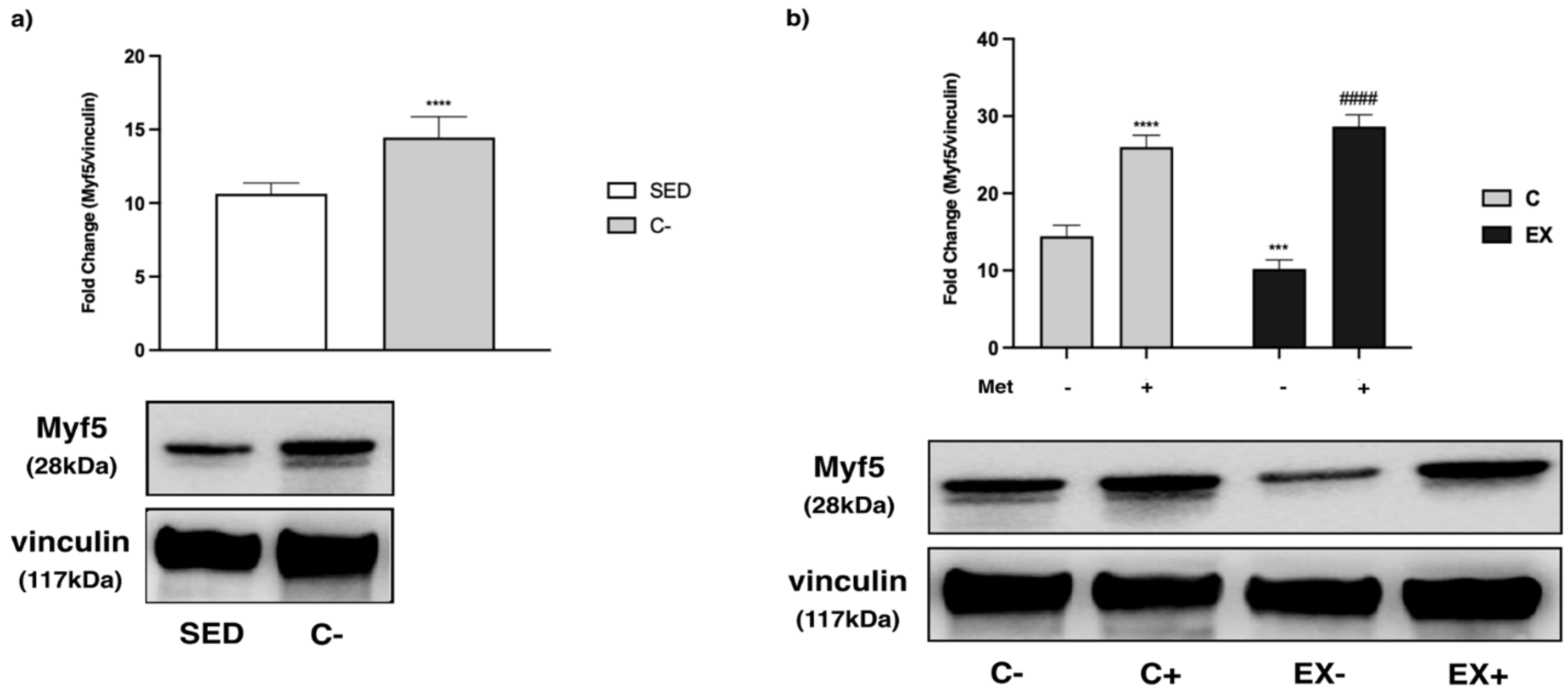 Biomedicines 11 02334 g013 Biomedicines 11 02334 g013