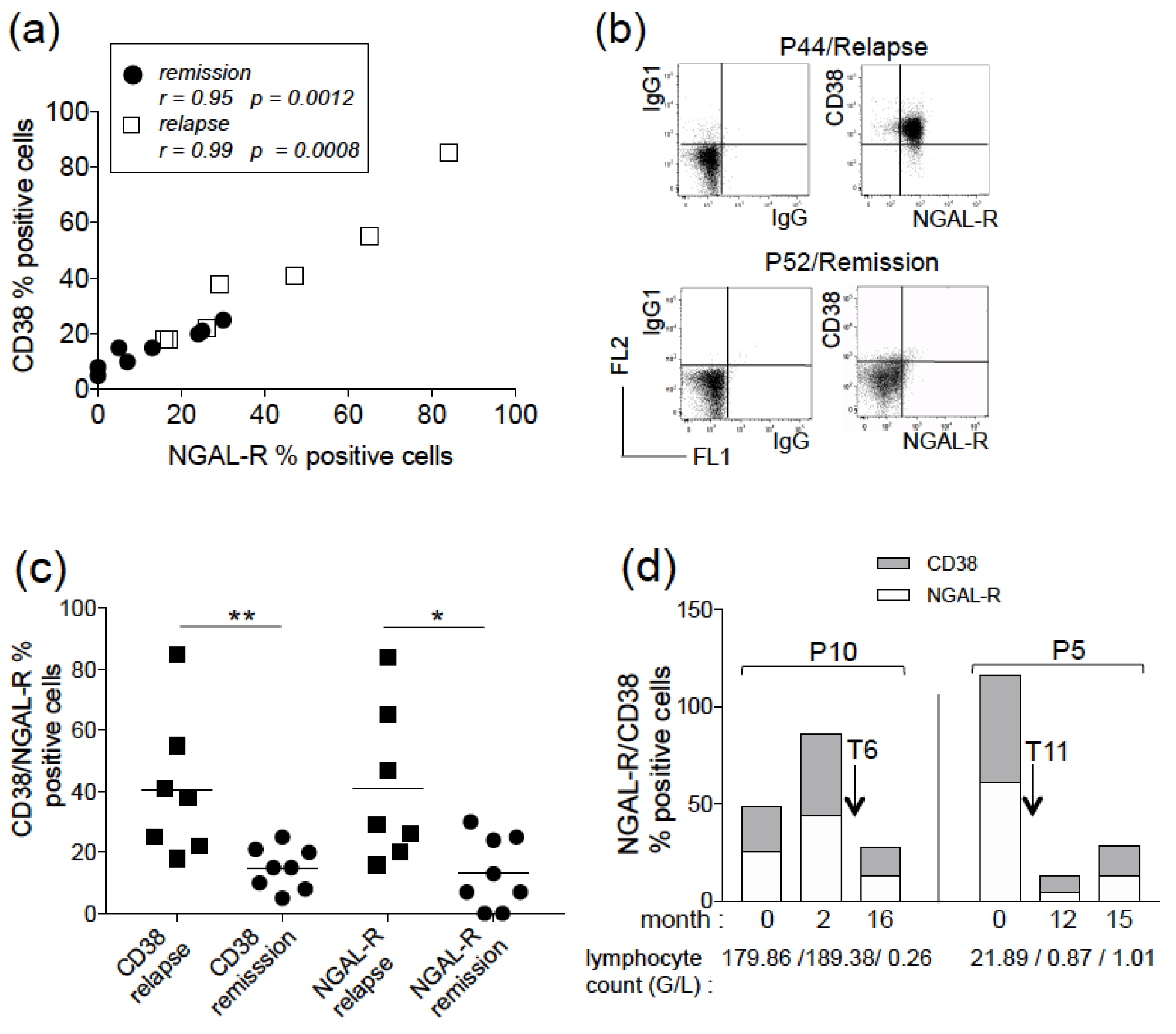Biomedicines 11 02335 g002