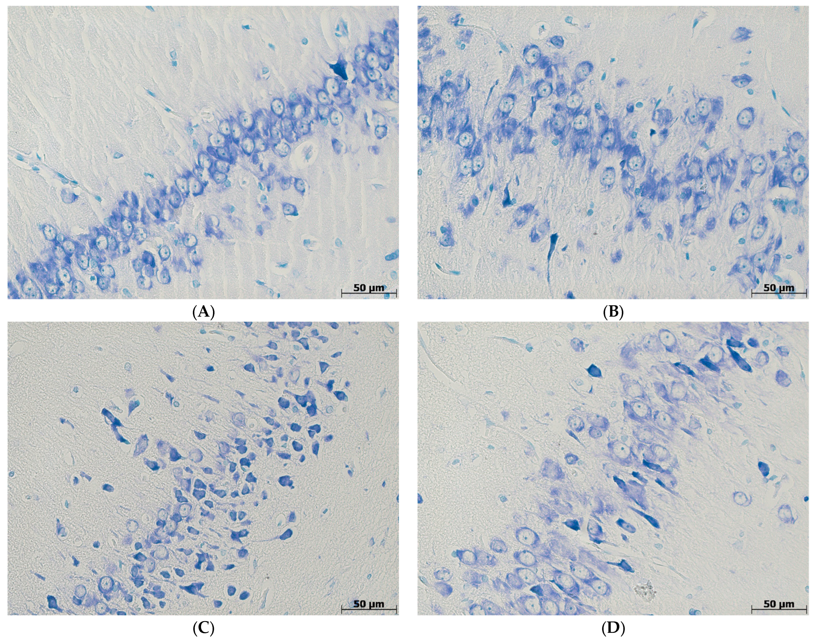 Biomedicines 11 02336 g002a