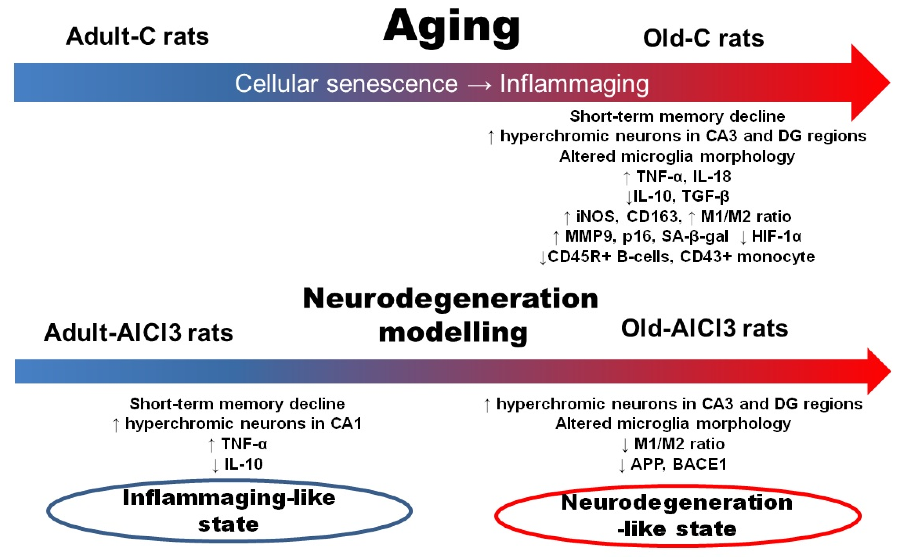 Biomedicines 11 02336 g011
