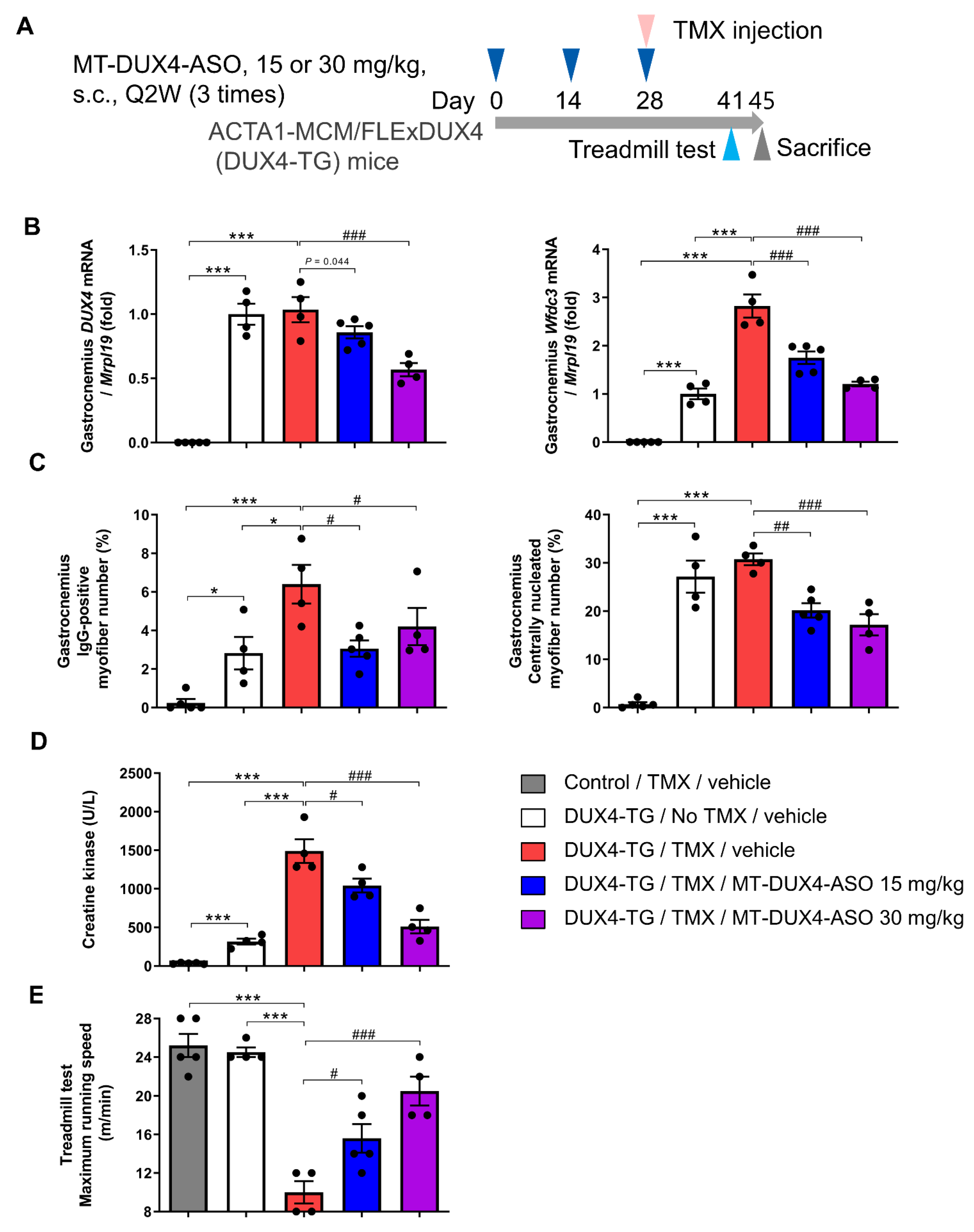 Biomedicines 11 02339 g004