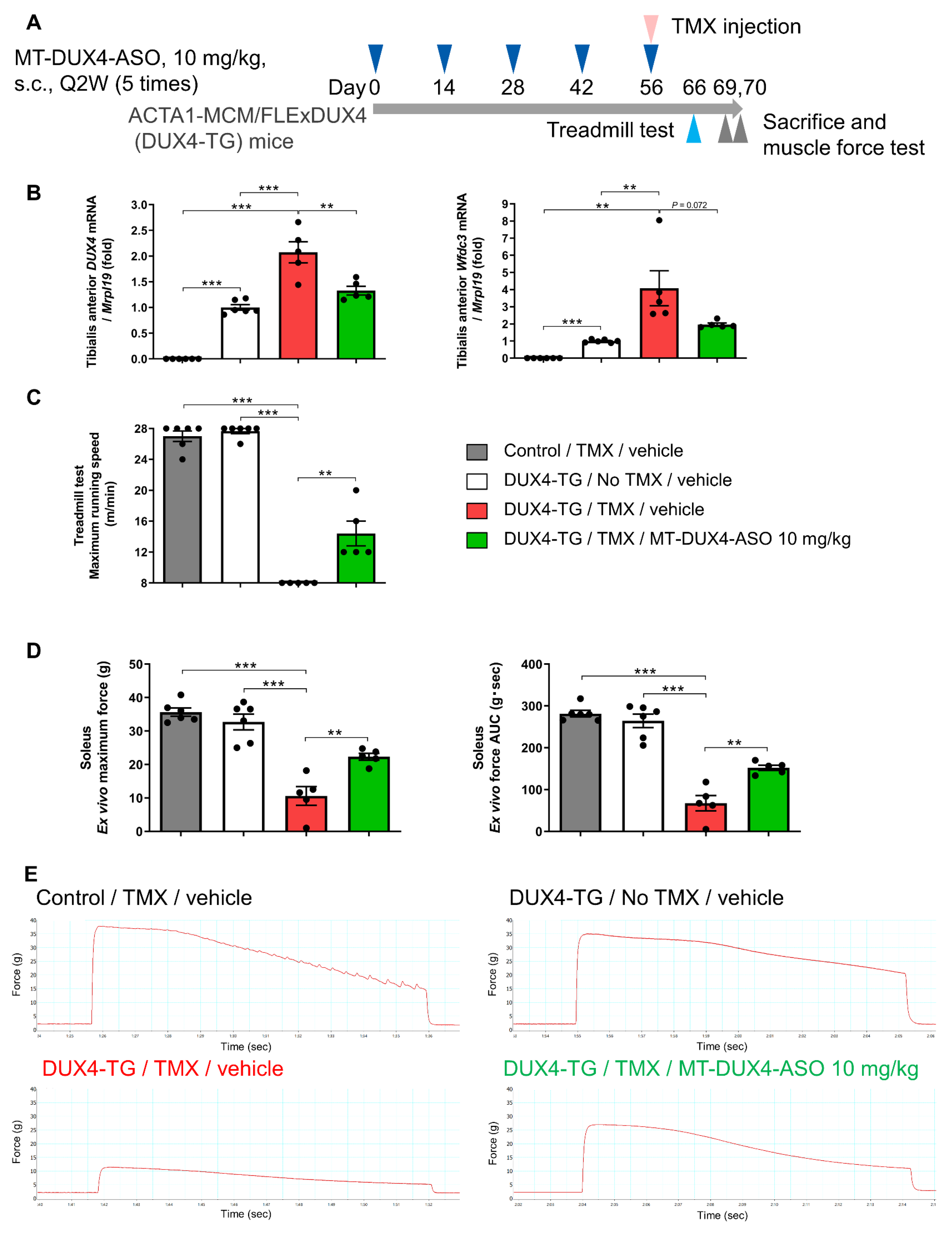 Biomedicines 11 02339 g006