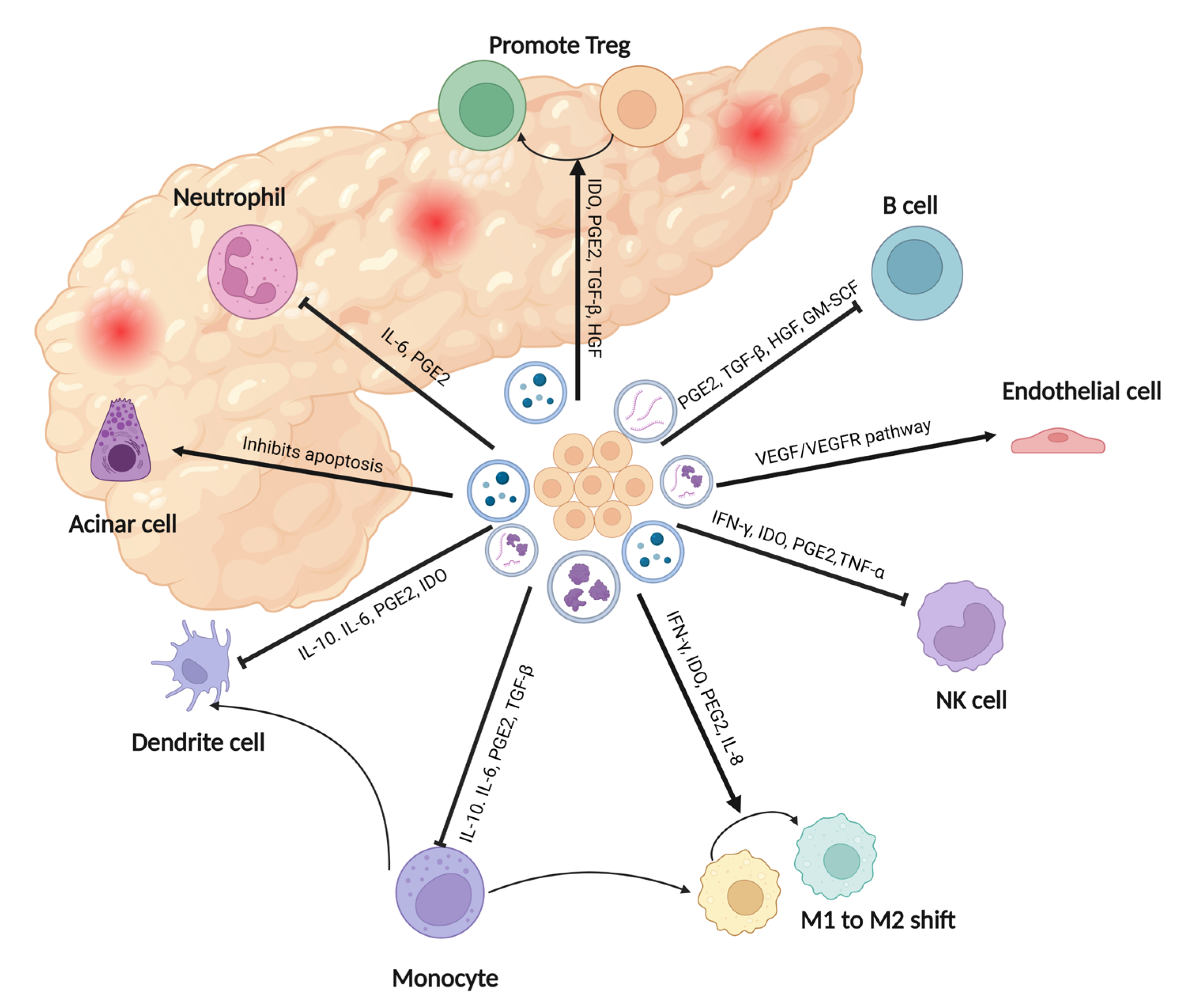 Biomedicines 11 02343 g003