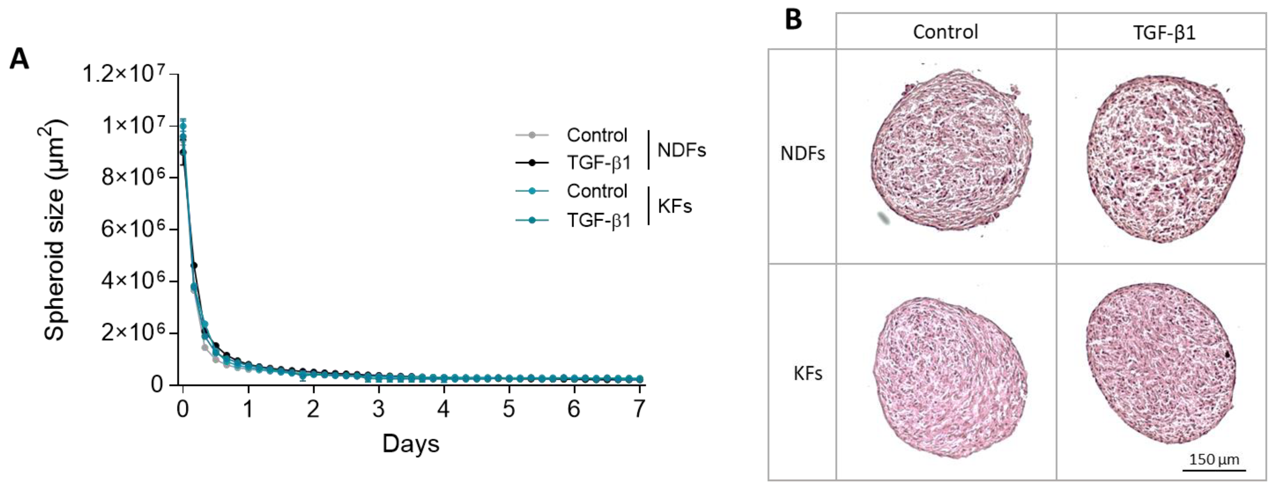 Biomedicines 11 02350 g001
