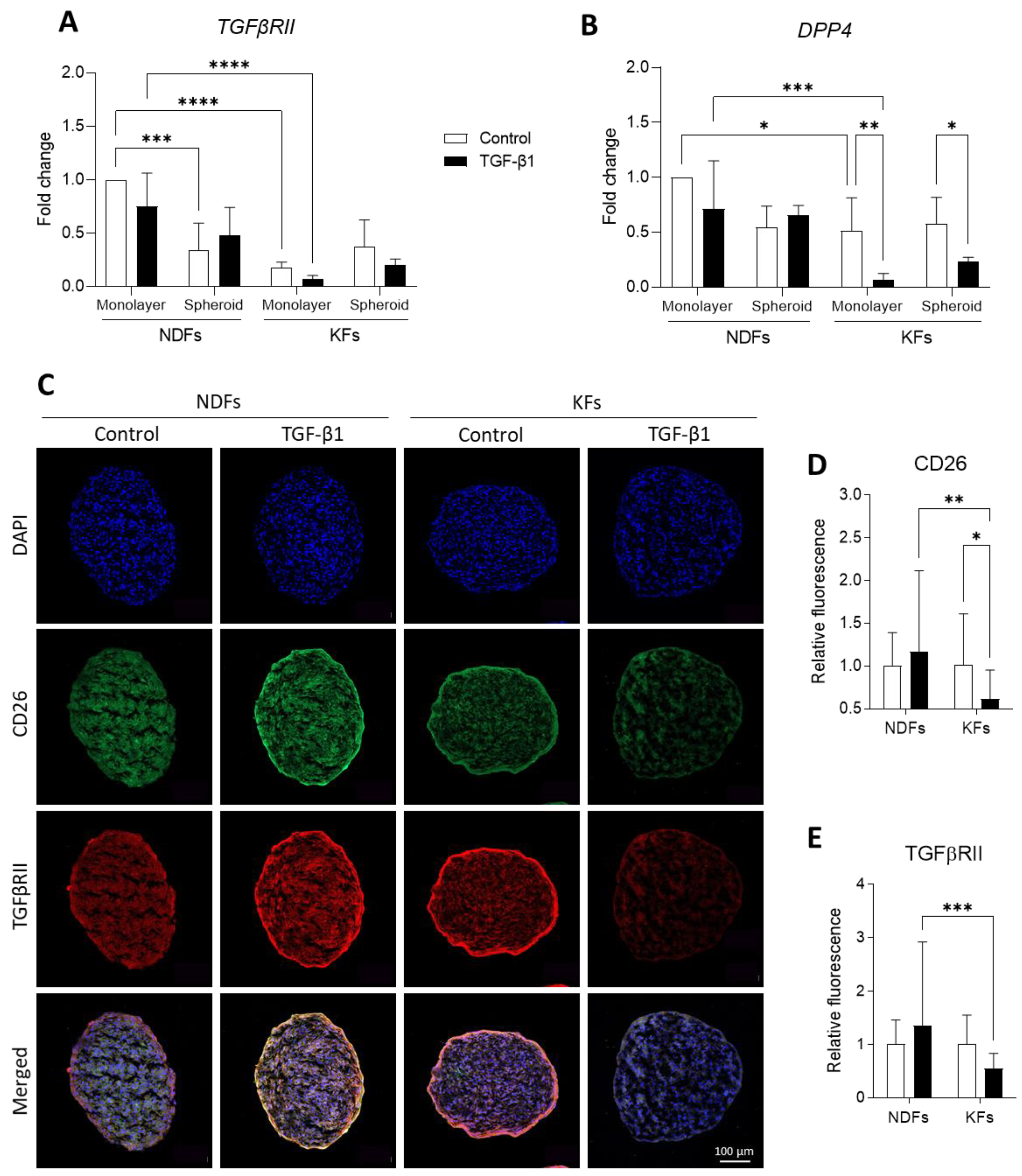 Biomedicines 11 02350 g004
