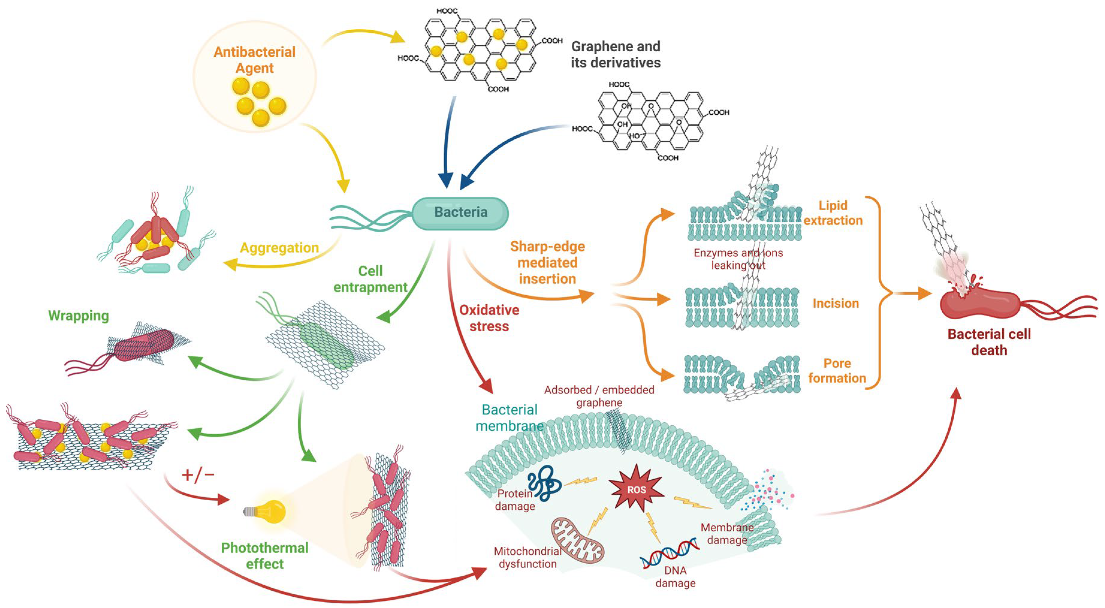 Biomedicines 11 02354 g006 Biomedicines 11 02354 g006