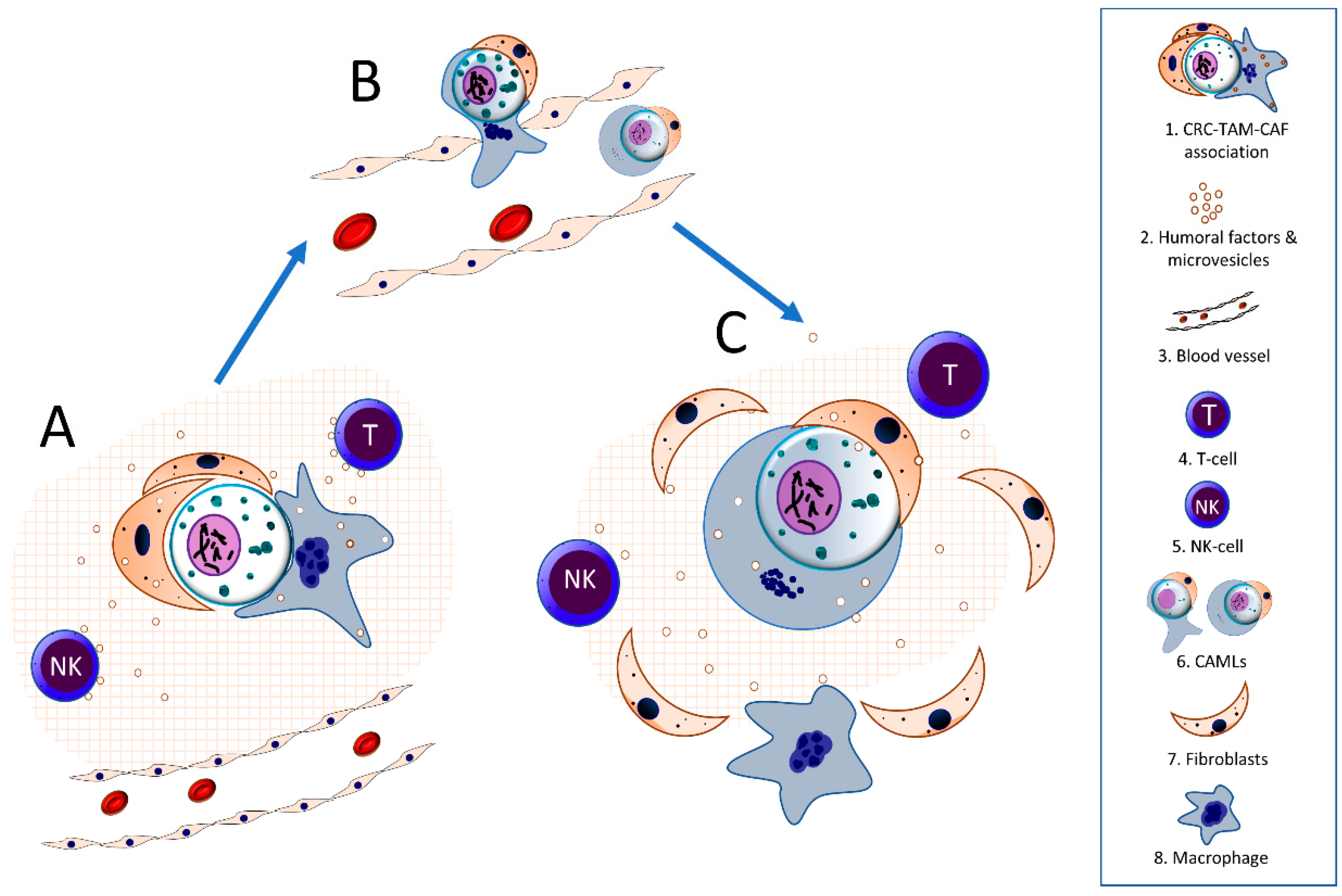 Biomedicines 11 02361 g002