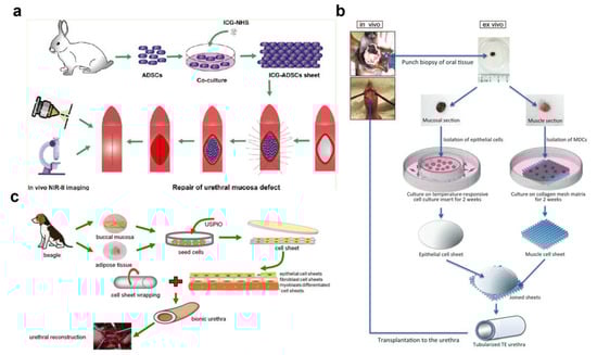 Biomedicines 11 02366 g002