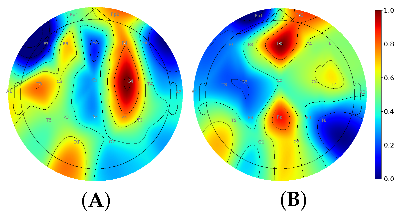 Biomedicines 11 02370 g001 Biomedicines 11 02370 g001