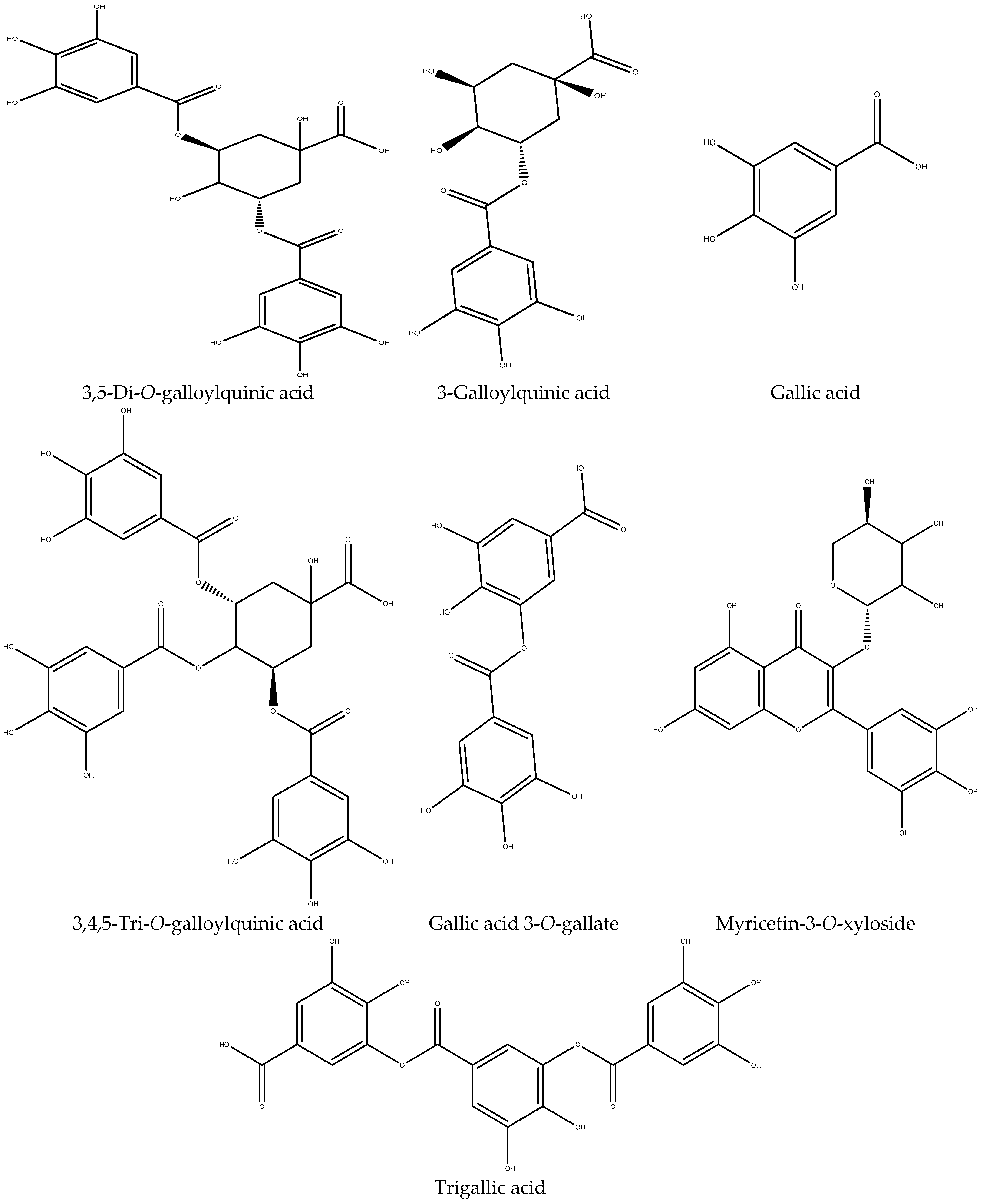 Biomedicines 11 02372 g007 Biomedicines 11 02372 g007