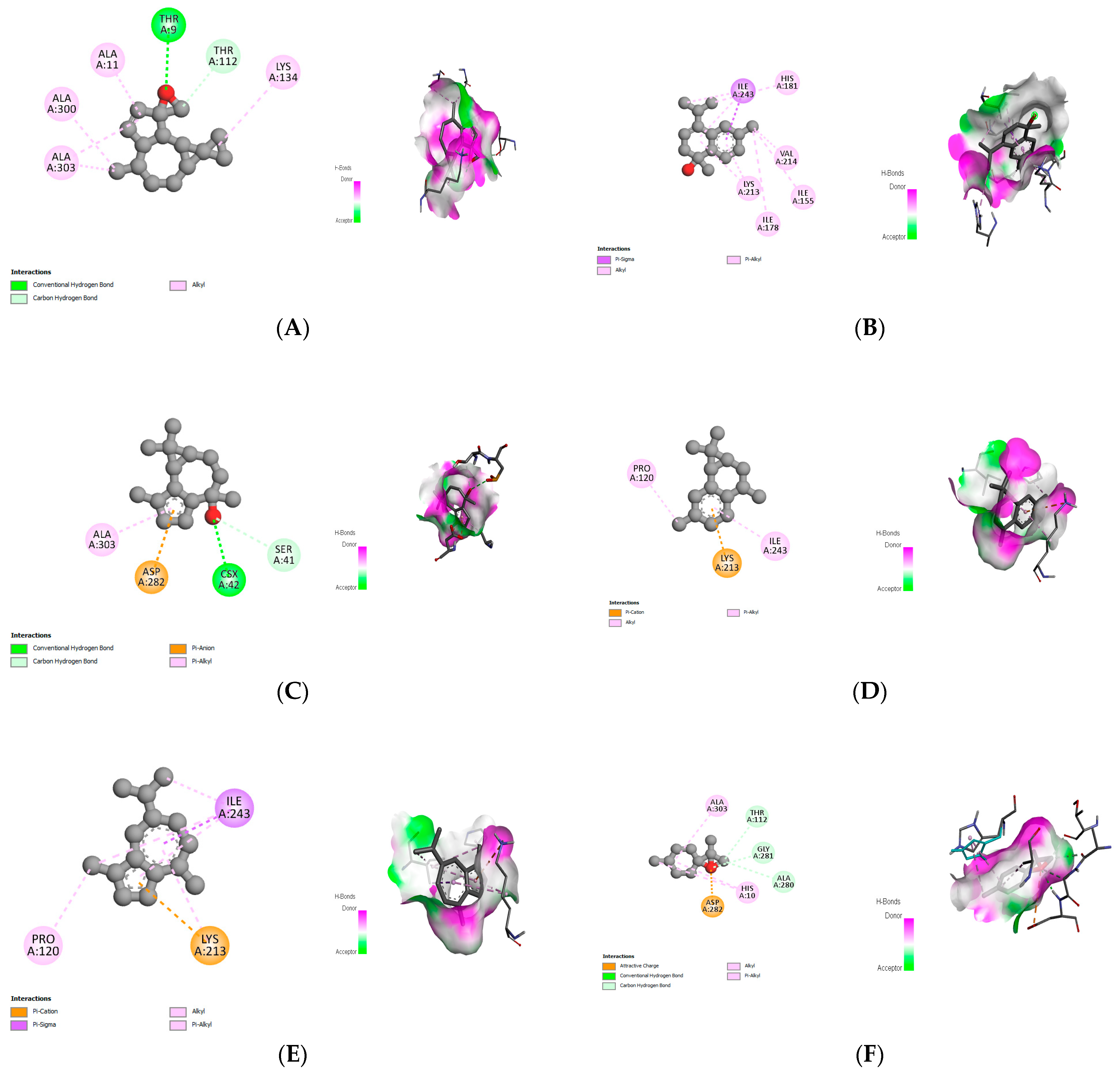 Biomedicines 11 02372 g016 Biomedicines 11 02372 g016