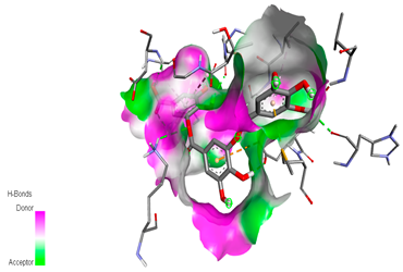 Biomedicines 11 02372 i005 Biomedicines 11 02372 i005