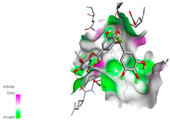 Biomedicines 11 02372 i006 Biomedicines 11 02372 i006