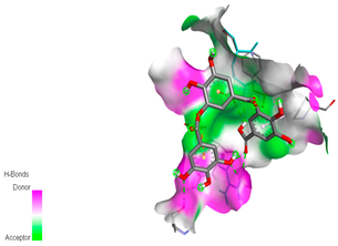 Biomedicines 11 02372 i008 Biomedicines 11 02372 i008