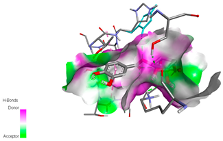 Biomedicines 11 02372 i021 Biomedicines 11 02372 i021