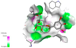 Biomedicines 11 02372 i022 Biomedicines 11 02372 i022