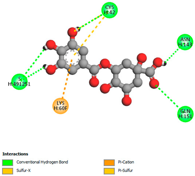 Biomedicines 11 02372 i034 Biomedicines 11 02372 i034