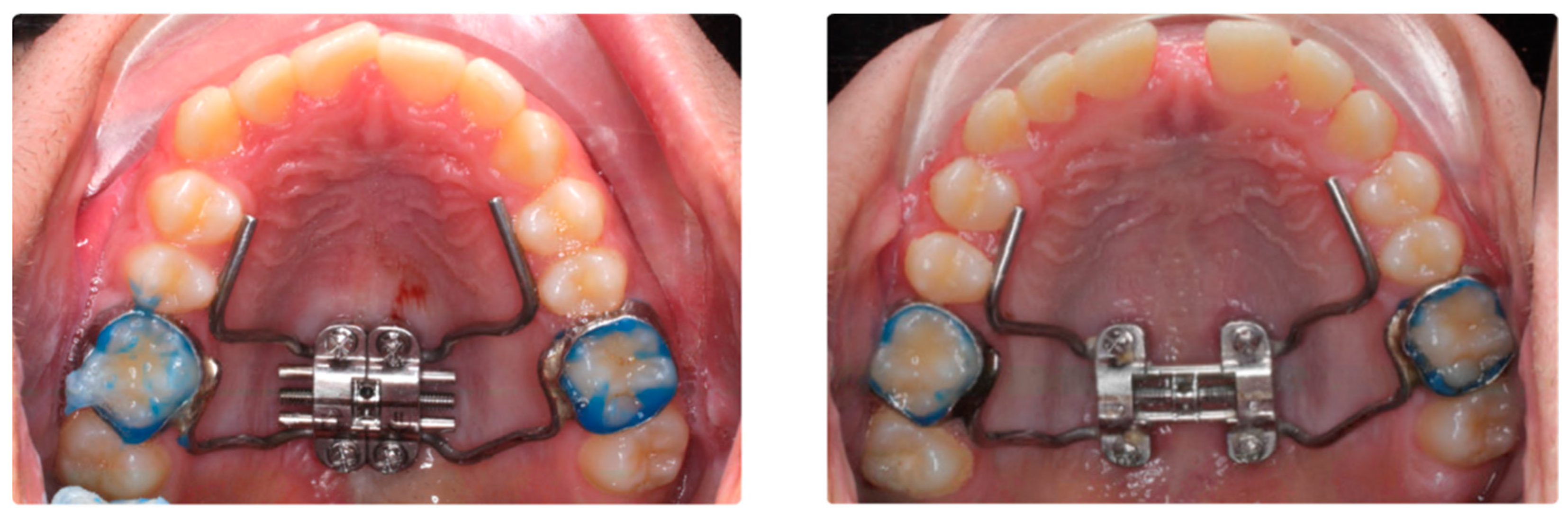 Biomedicines 11 02380 g001