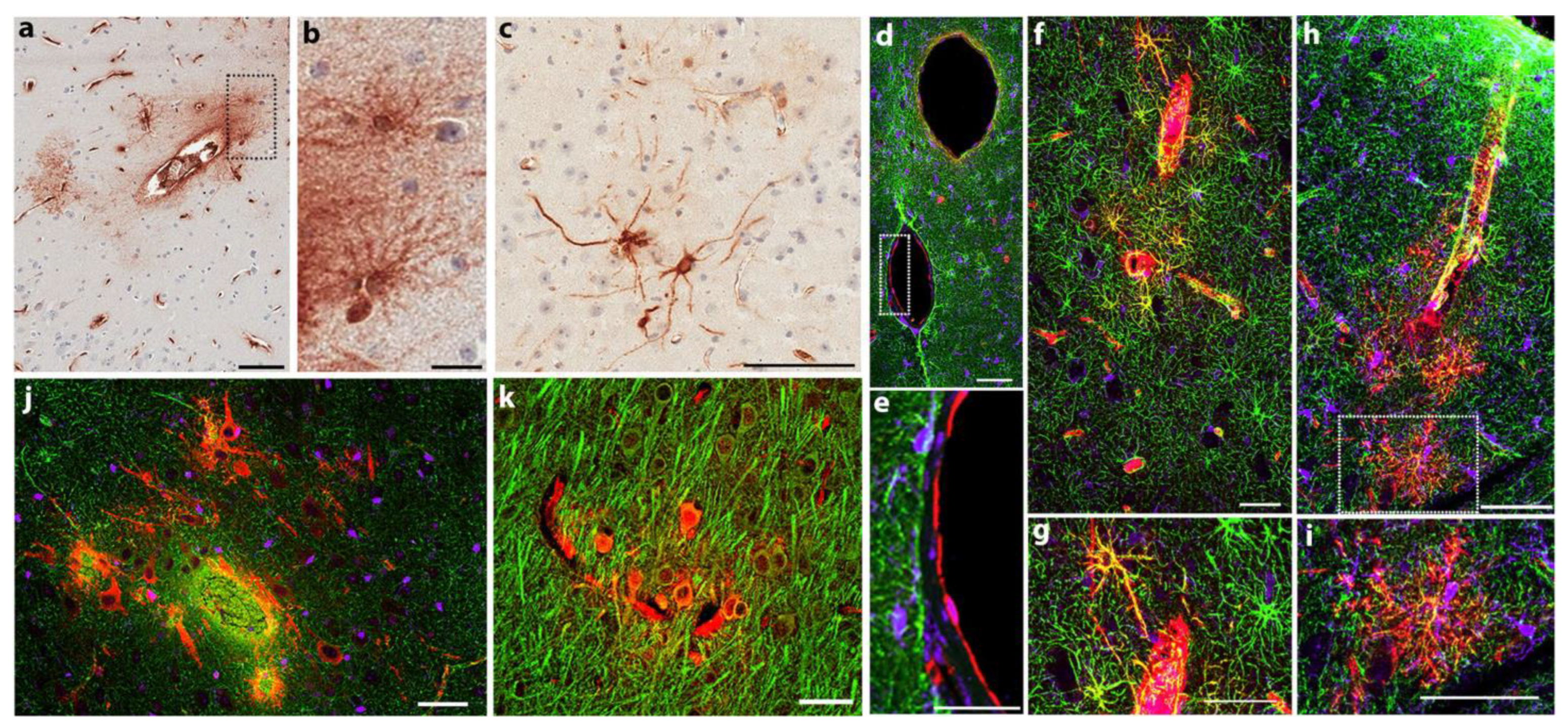 Biomedicines 11 02388 g003