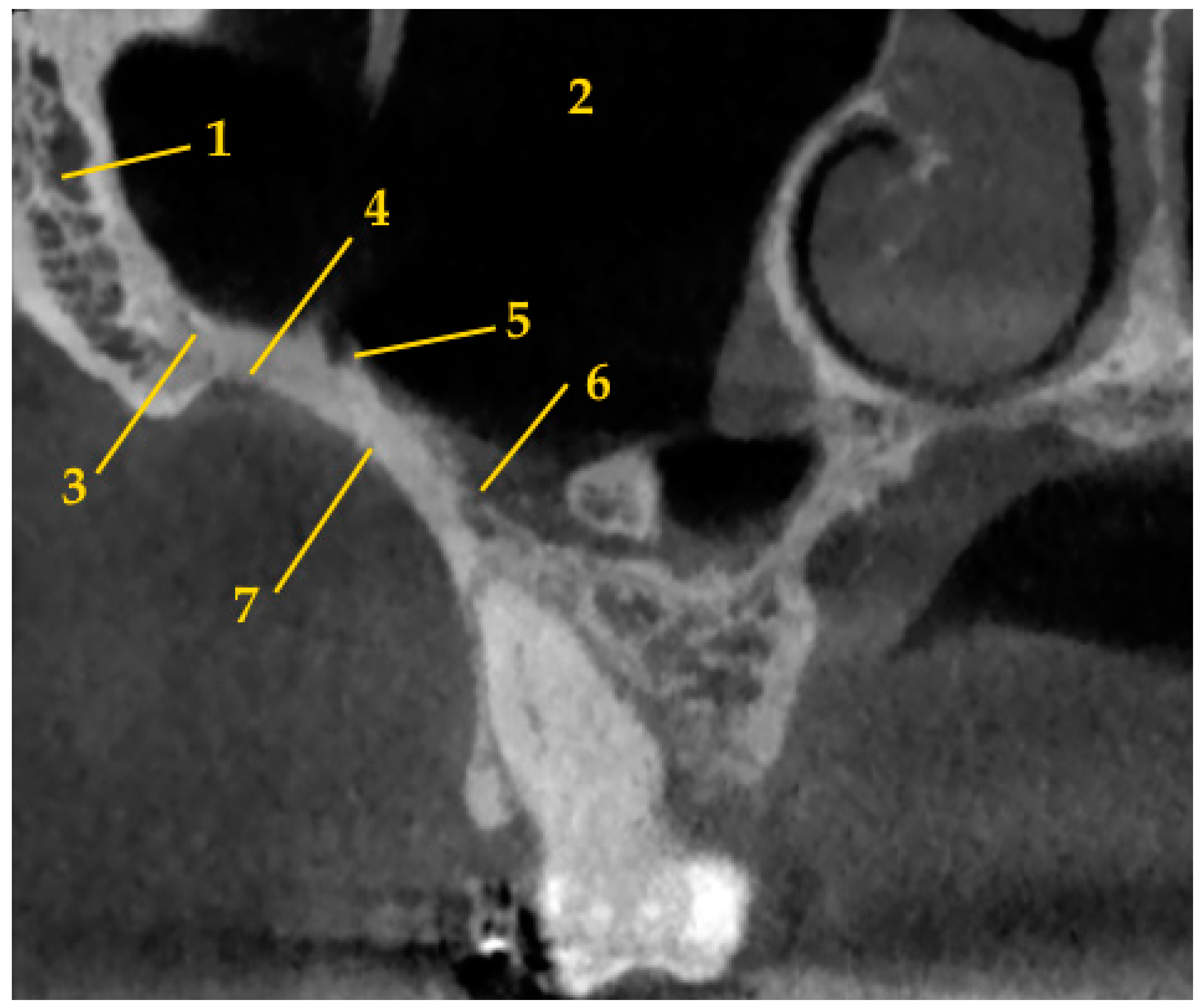 Biomedicines 11 02389 g001
