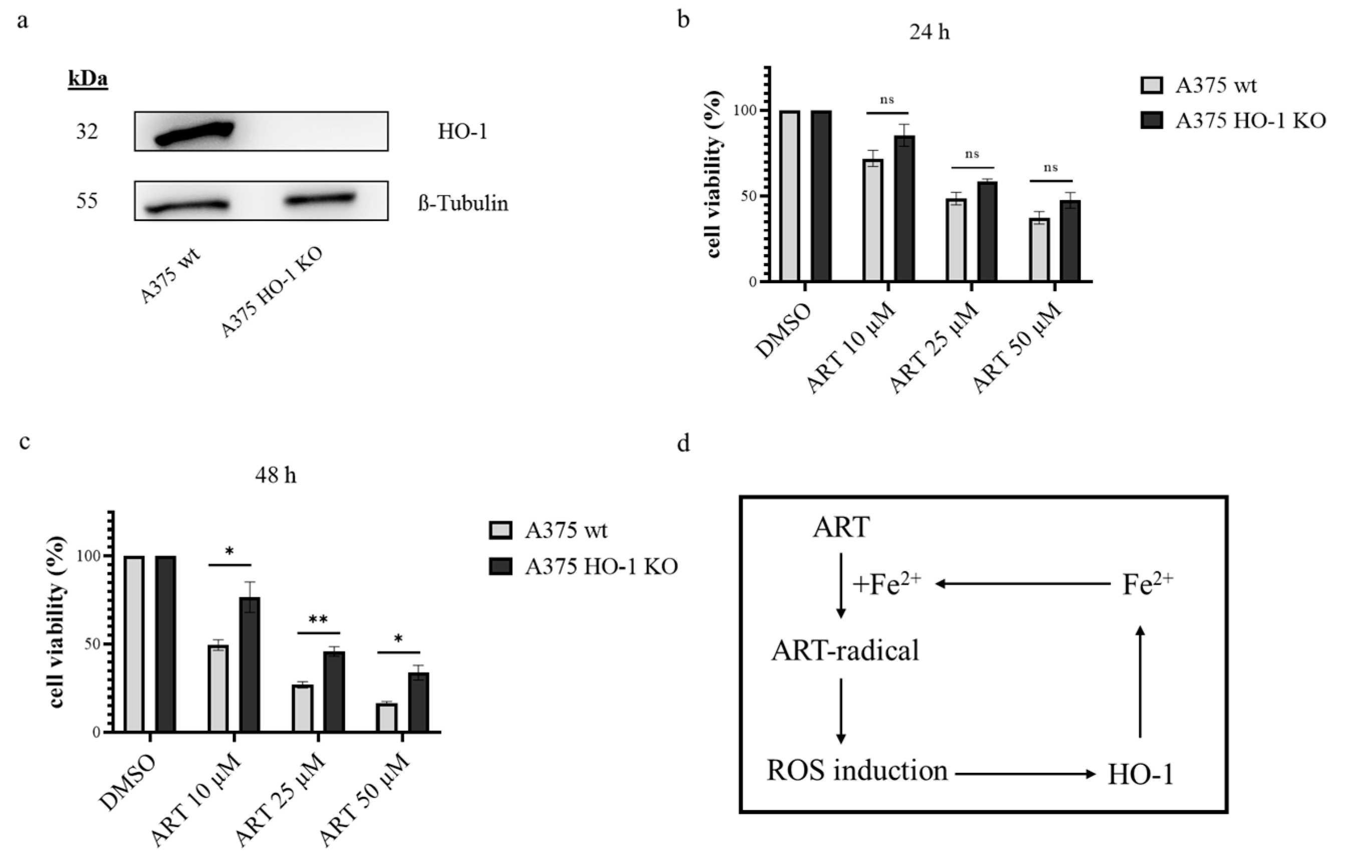 Biomedicines 11 02393 g006
