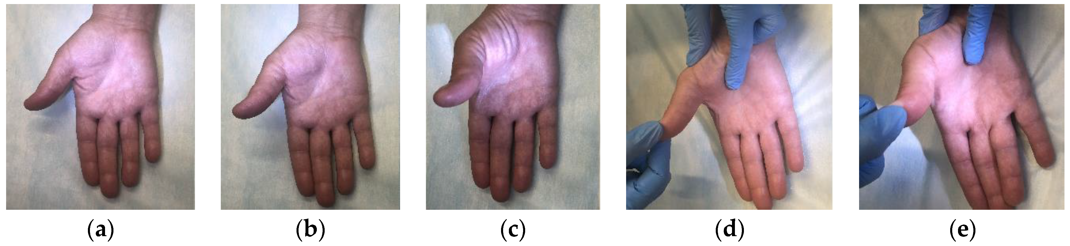 Biomedicines 11 02396 g003