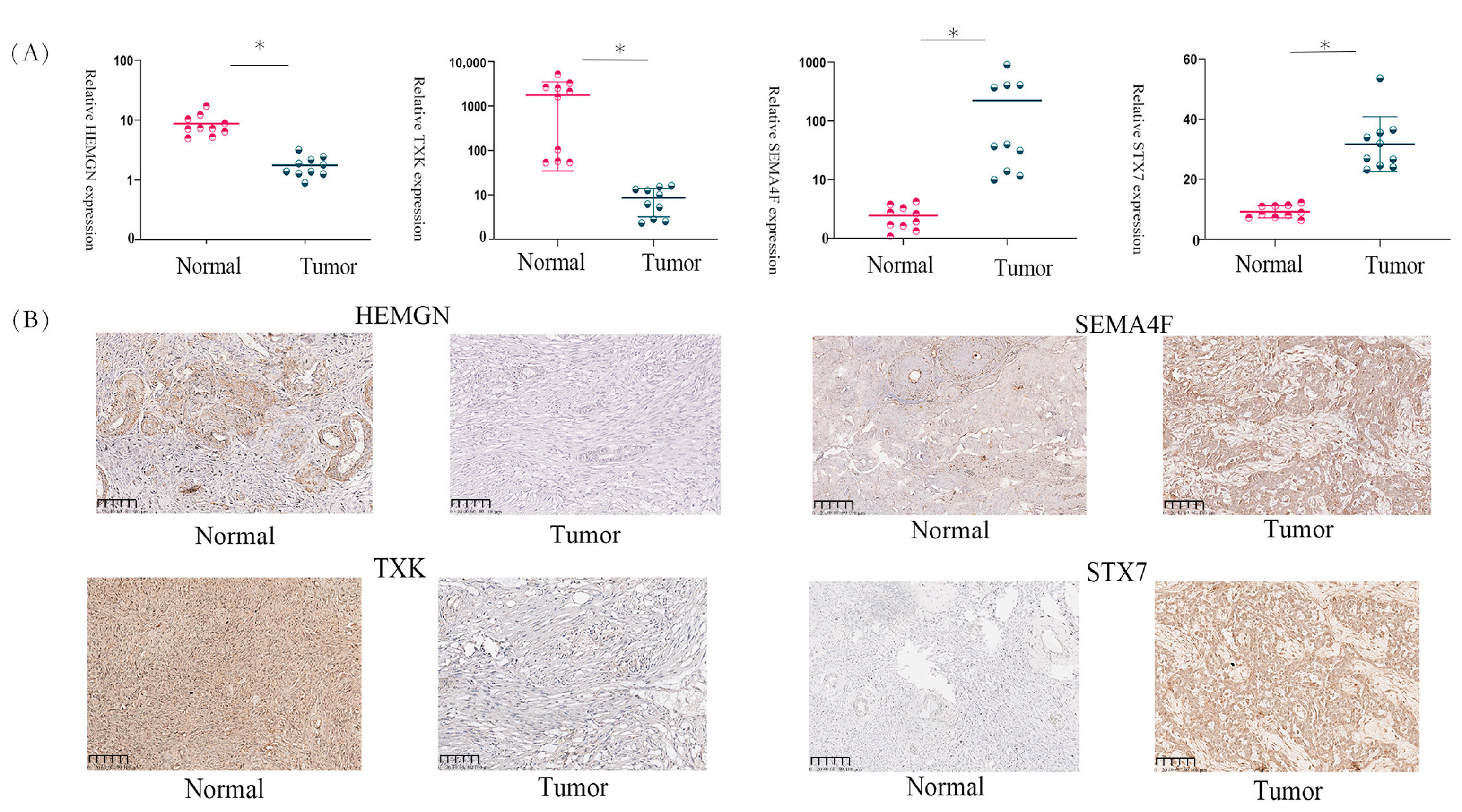 Biomedicines 11 02399 g006