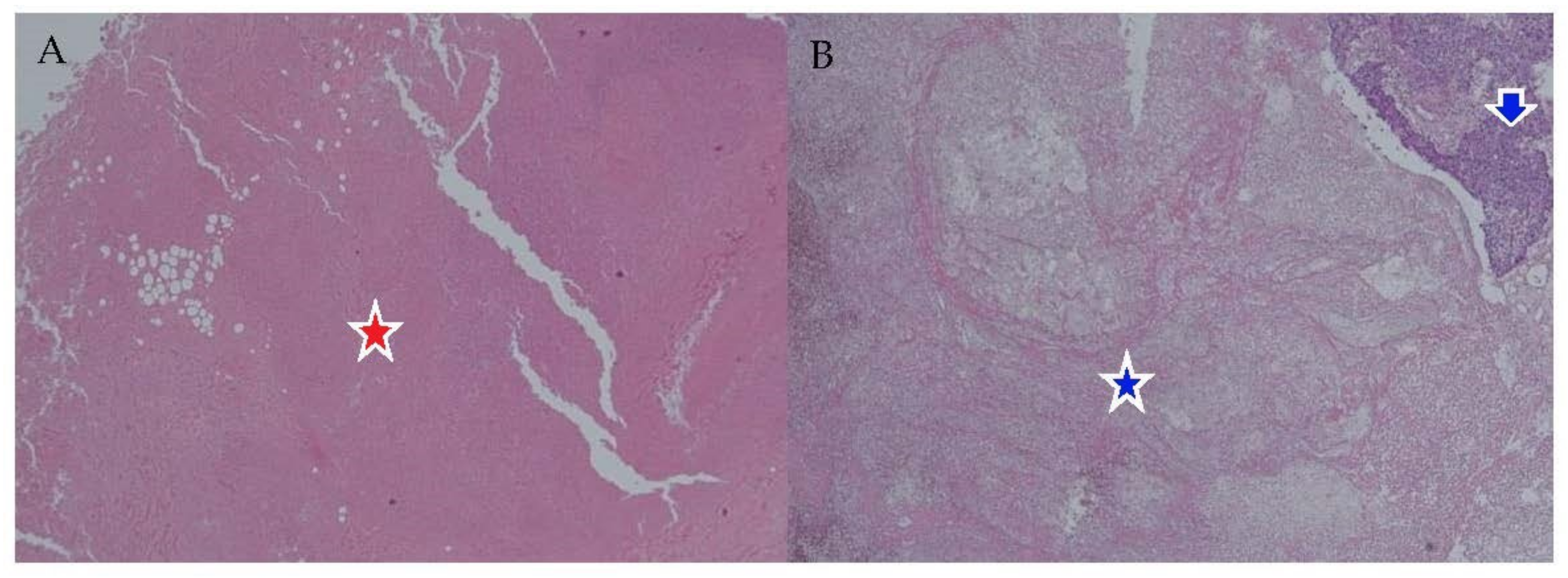 Biomedicines 11 02407 g001