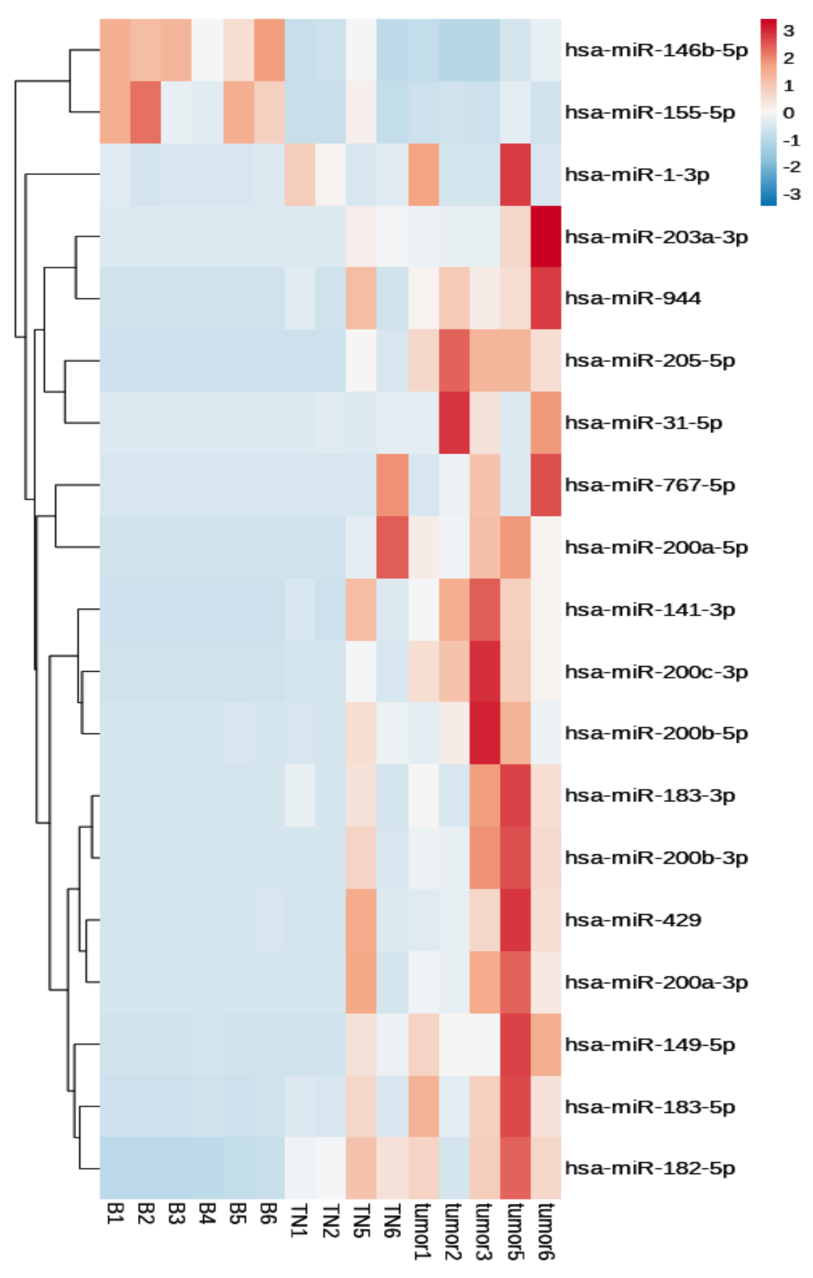 Biomedicines 11 02407 g002