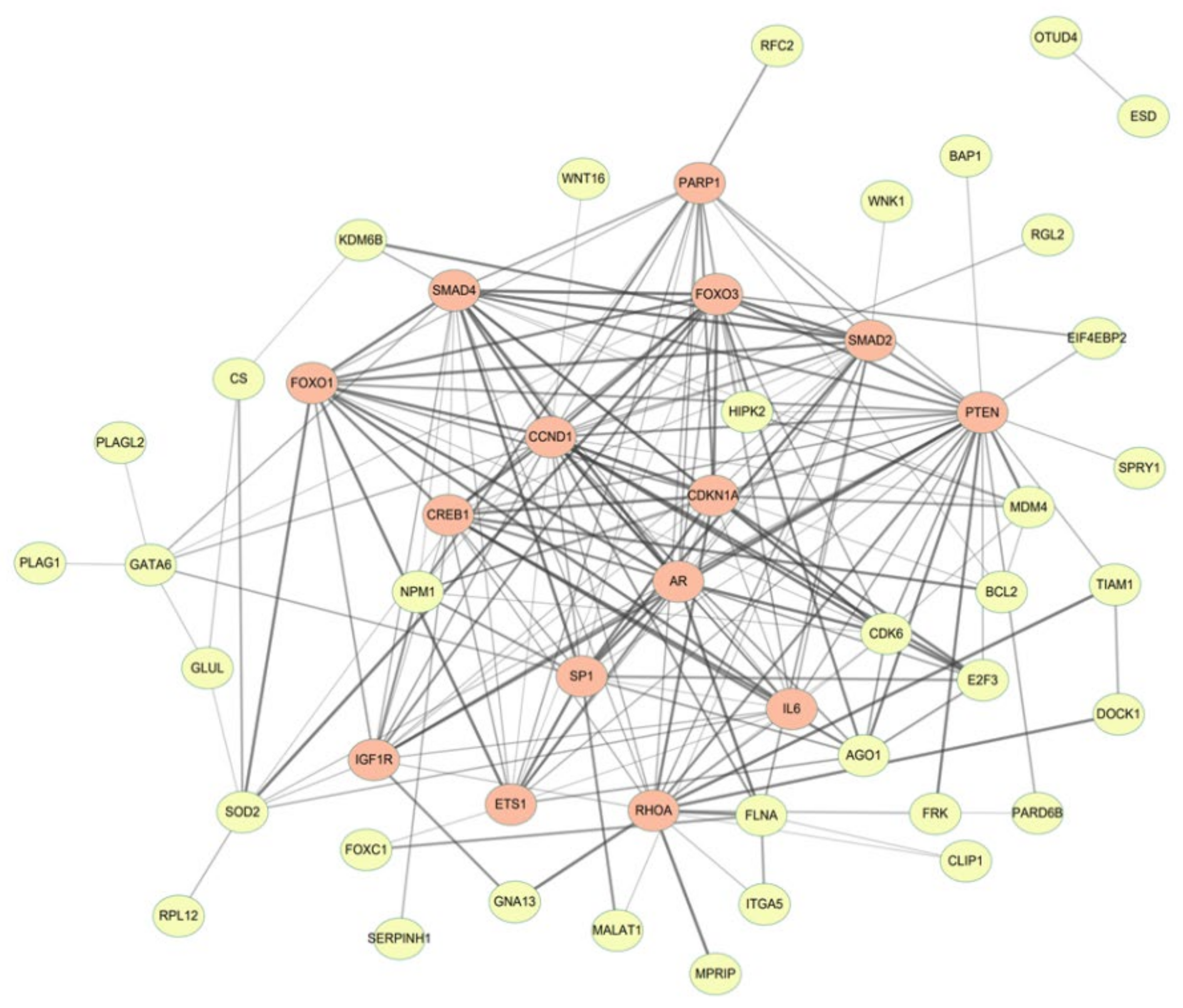 Biomedicines 11 02407 g003