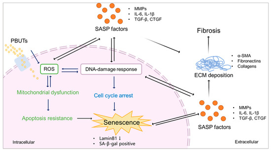 Biomedicines 11 02408 g004