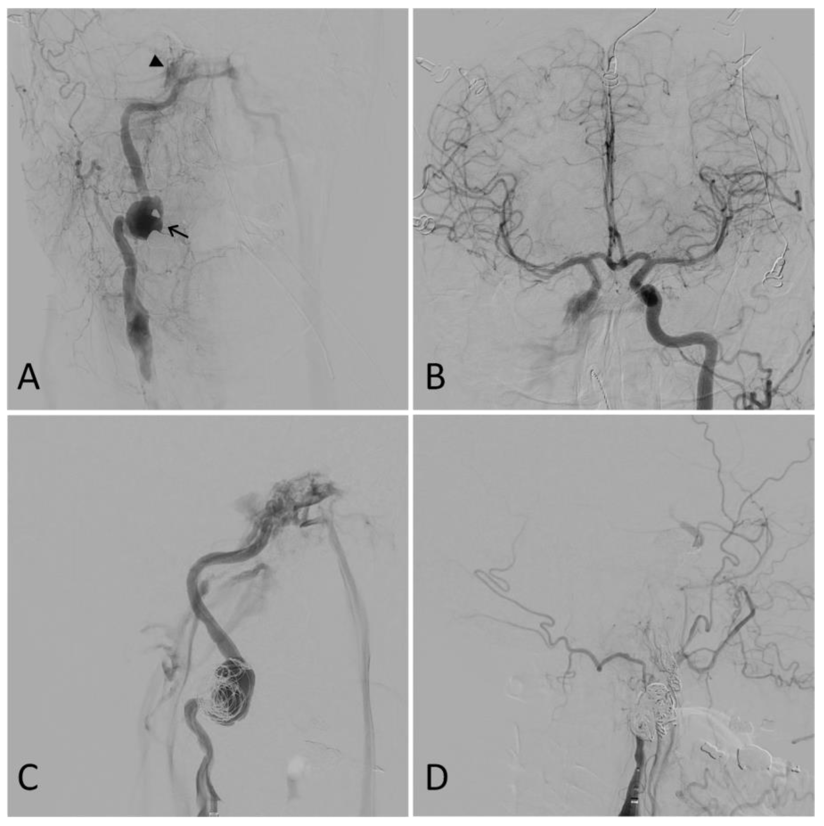 Biomedicines 11 02409 g003 Biomedicines 11 02409 g003
