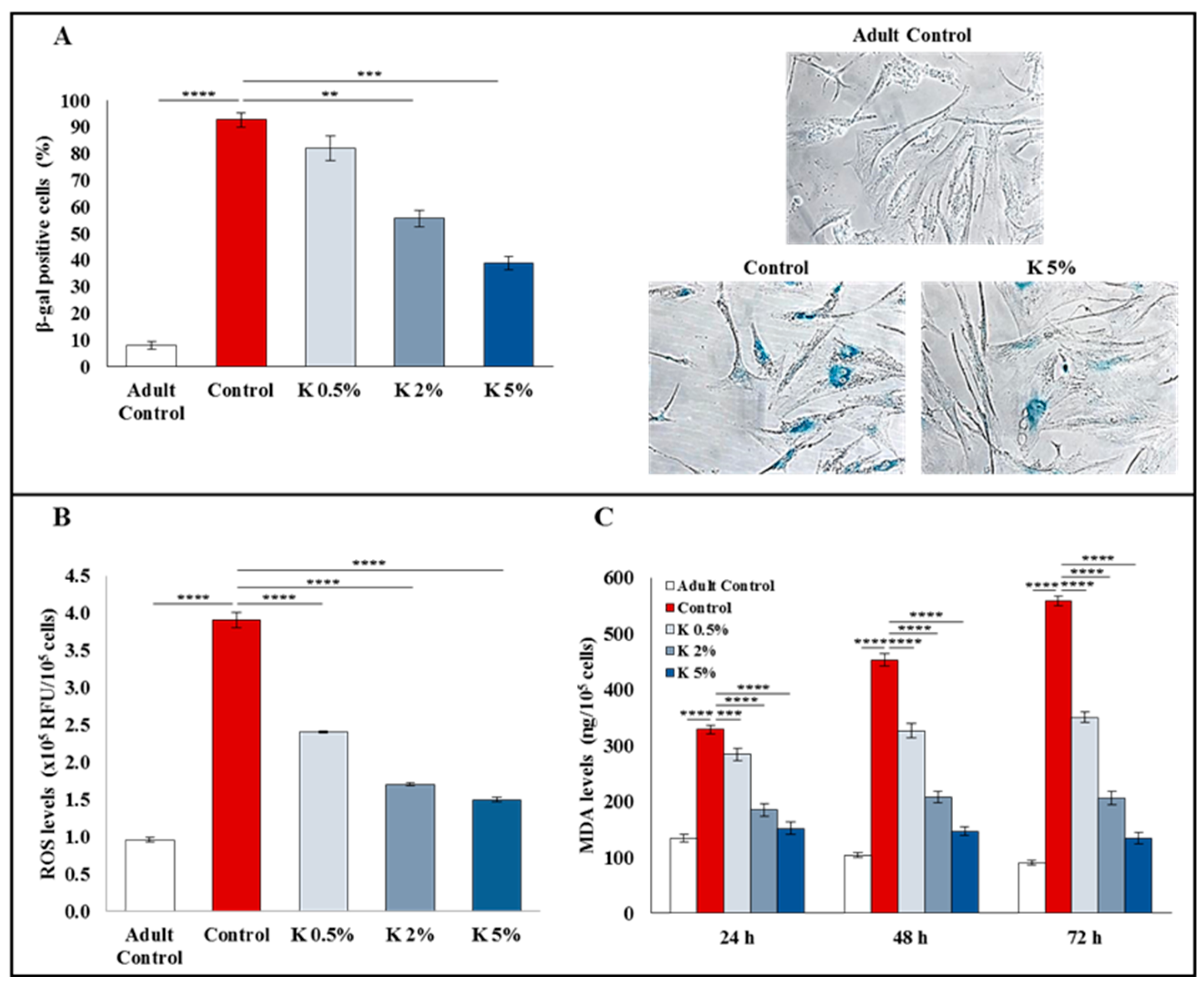 Biomedicines 11 02410 g002 Biomedicines 11 02410 g002