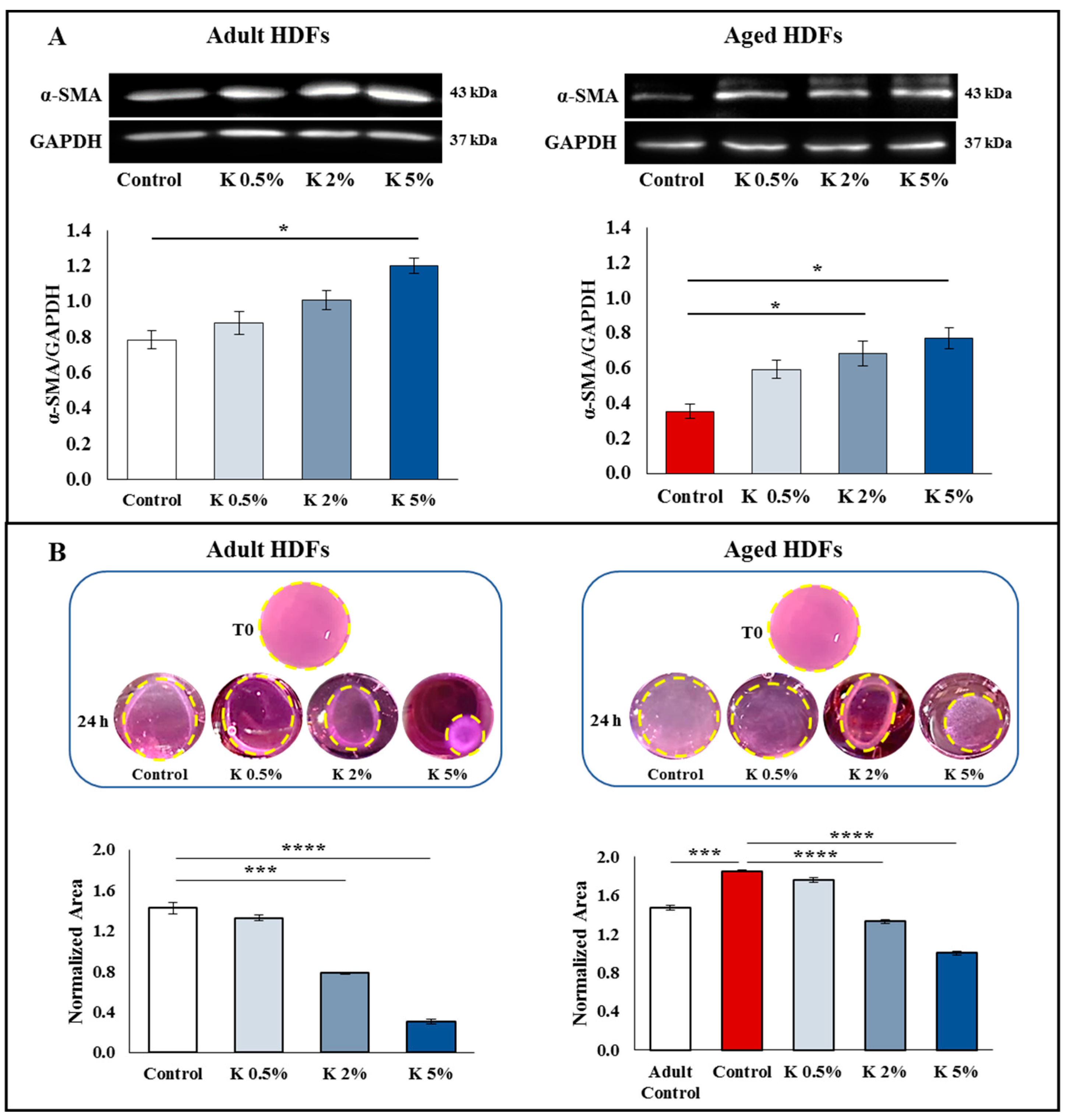 Biomedicines 11 02410 g004 Biomedicines 11 02410 g004