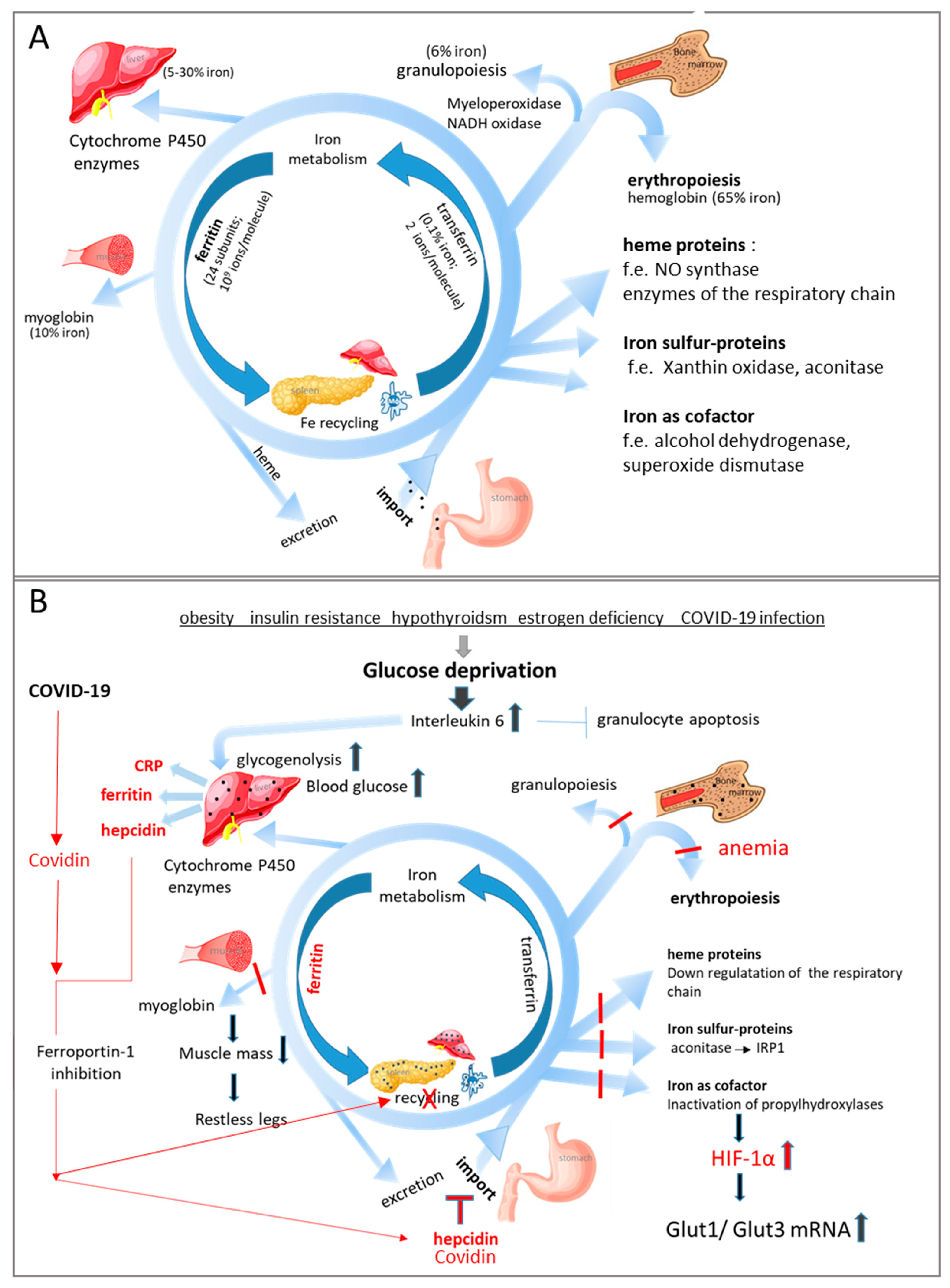 Biomedicines 11 02421 g001
