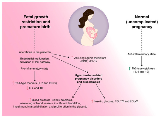 Biomedicines 11 02430 g001