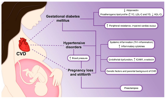 Biomedicines 11 02430 g002