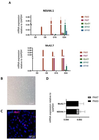 Biomedicines 11 02434 g002a