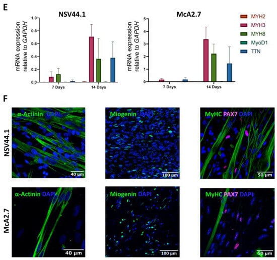Biomedicines 11 02434 g002b