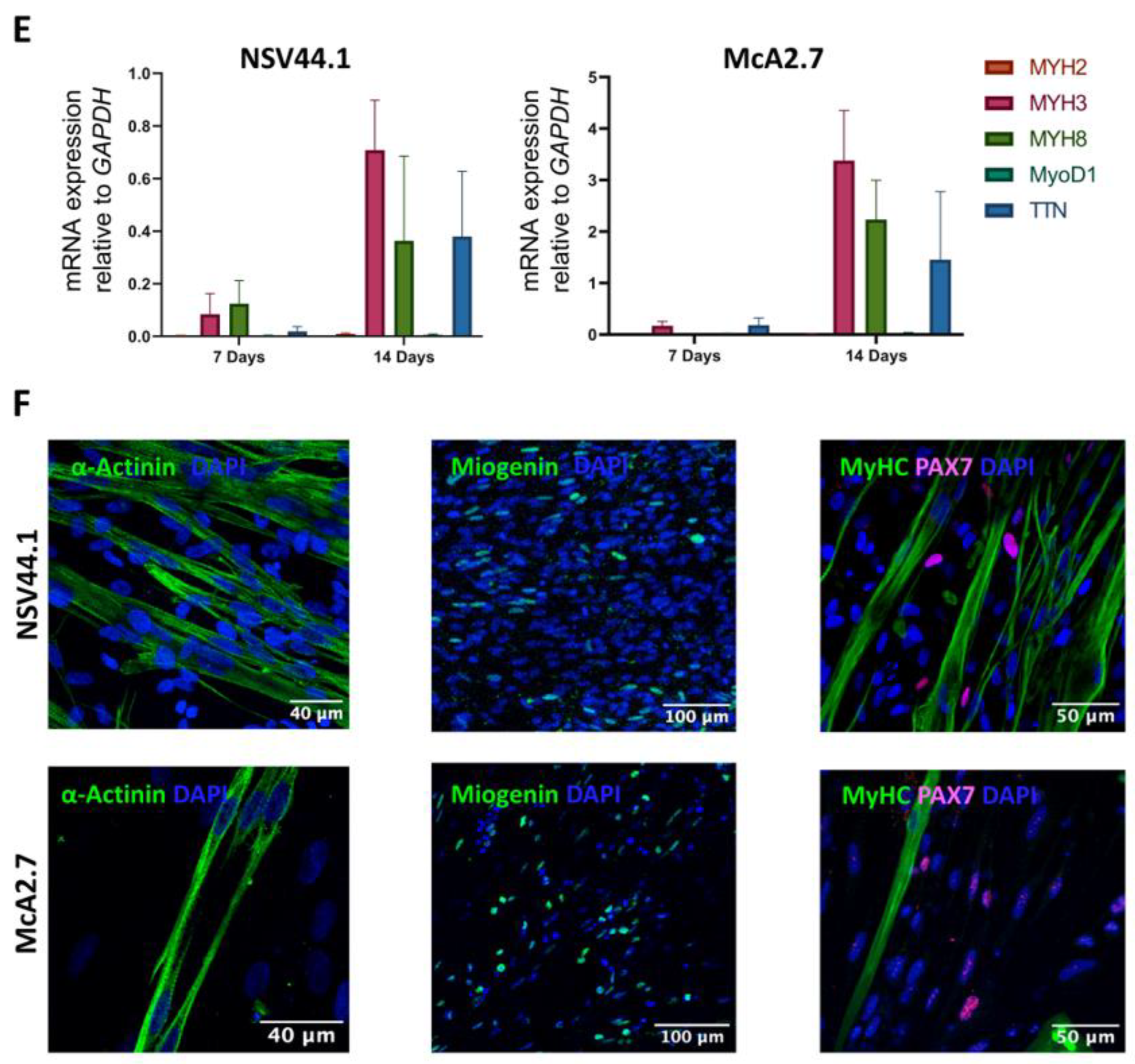 Biomedicines 11 02434 g002b